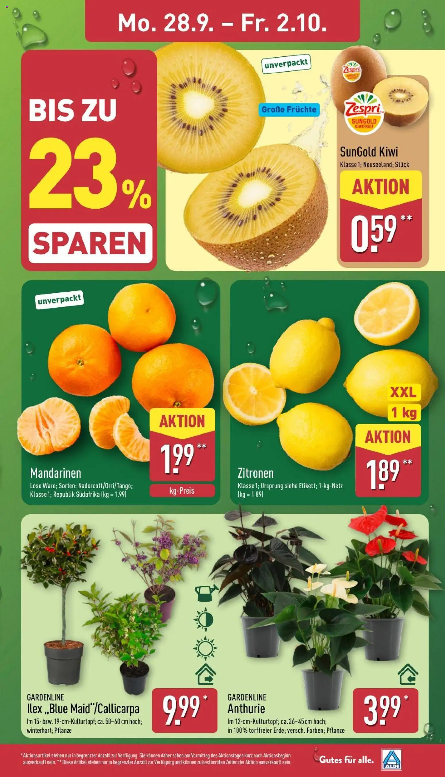 Aldi Prospekt Prospekt in Deutschland
