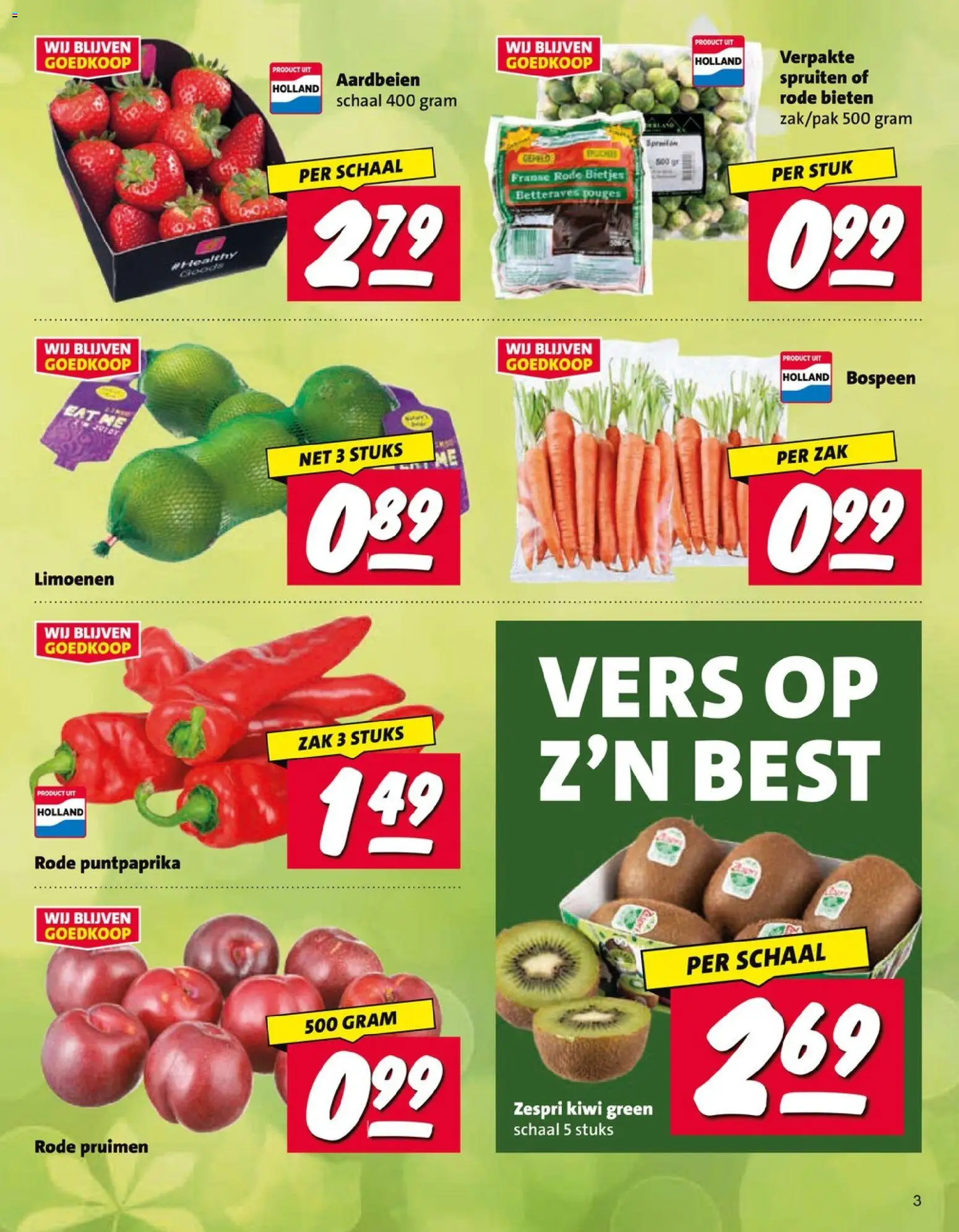 Nettorama folder Folder in Nederland