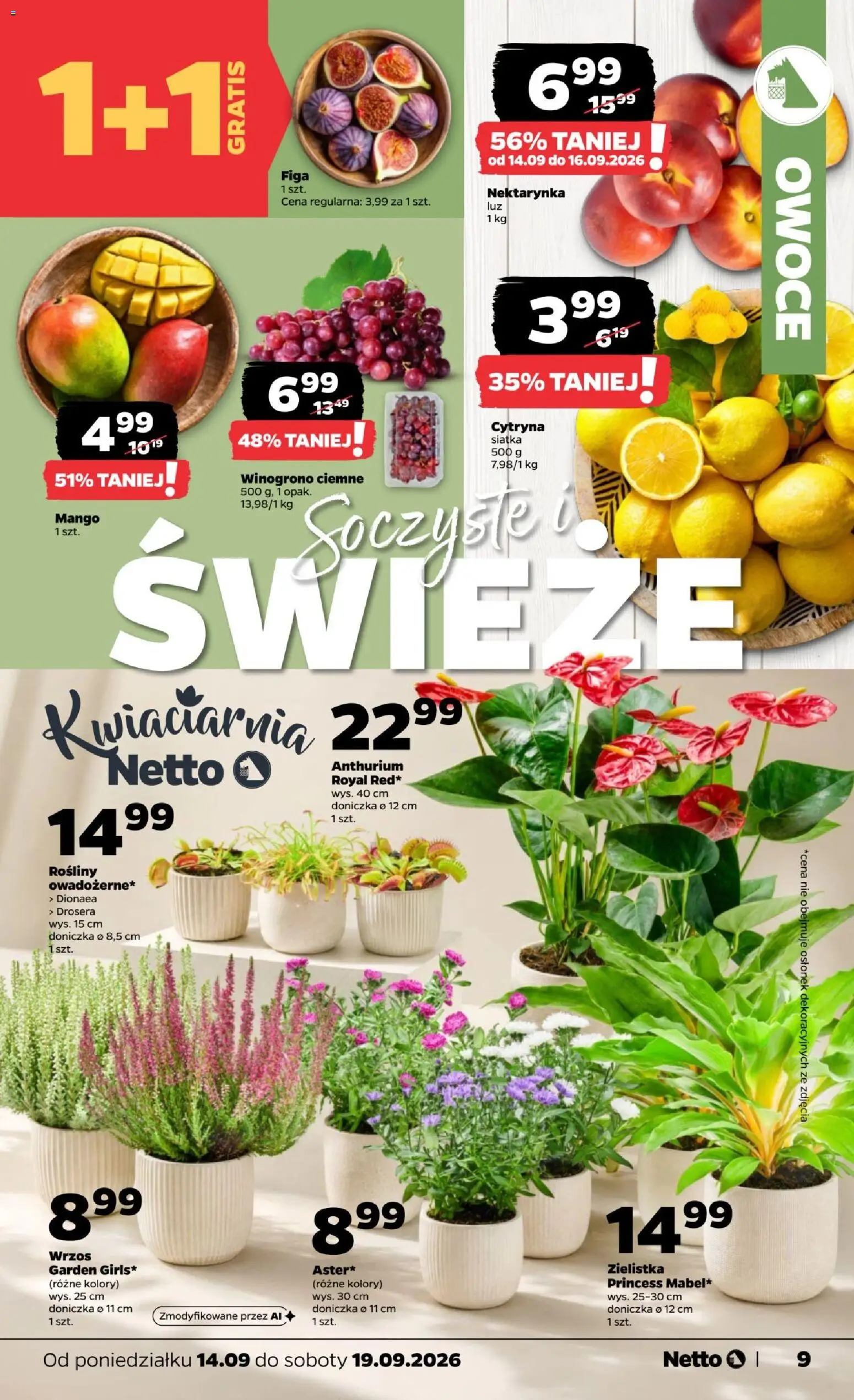 Netto gazetka od poniedziałku Gazetka in Polska