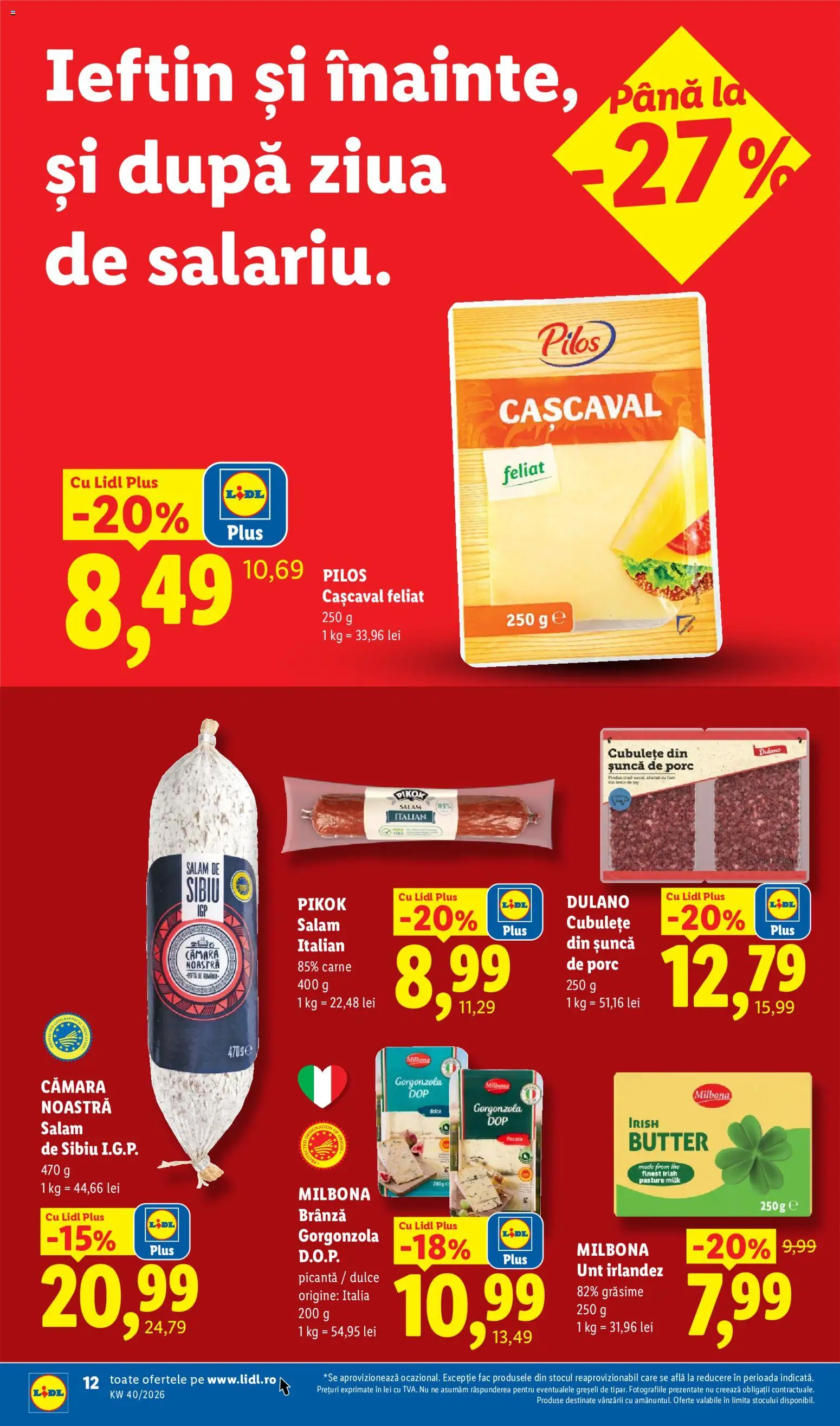 Lidl Catalog Catalog in România