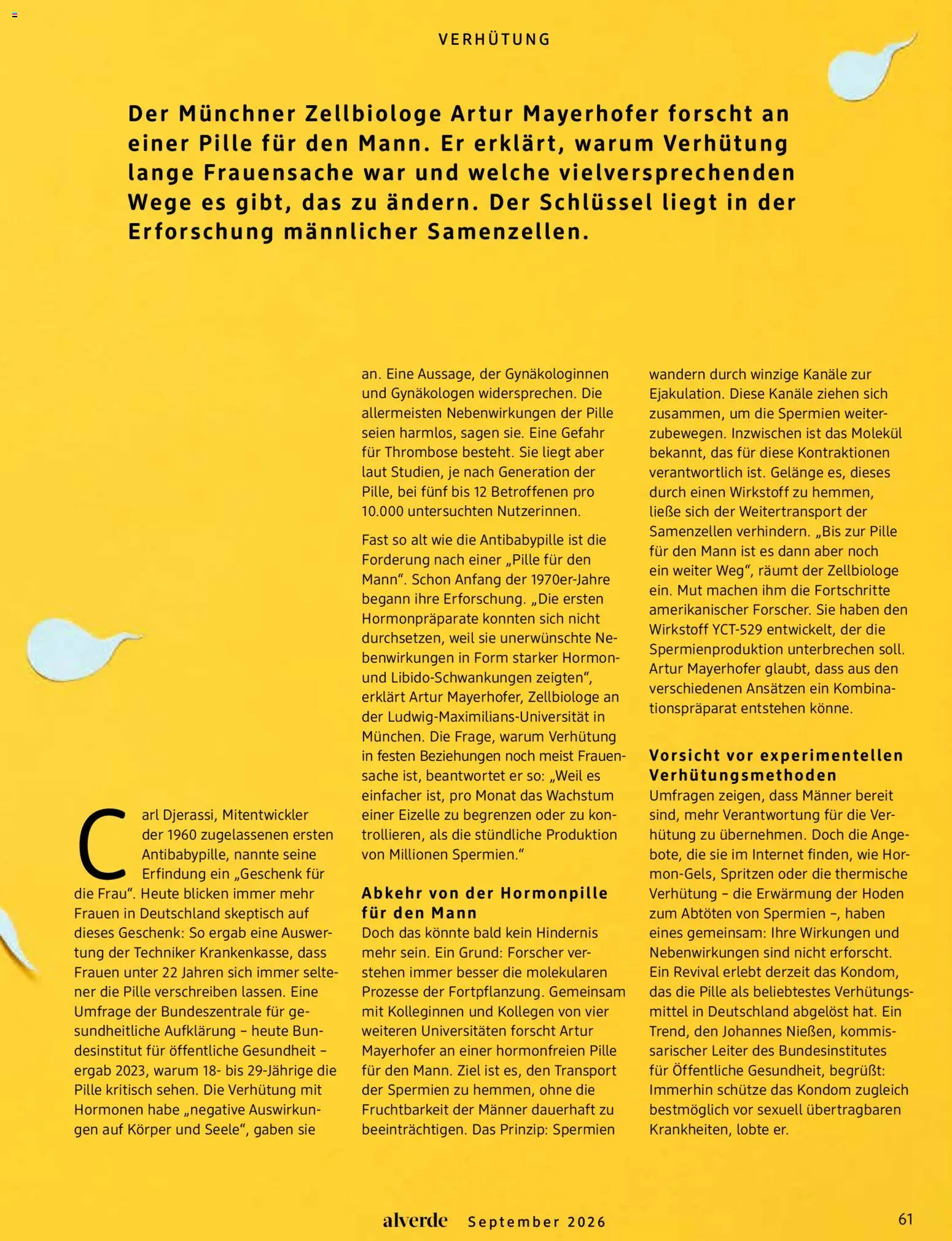 dm drogerie Prospekt Prospekt in Deutschland