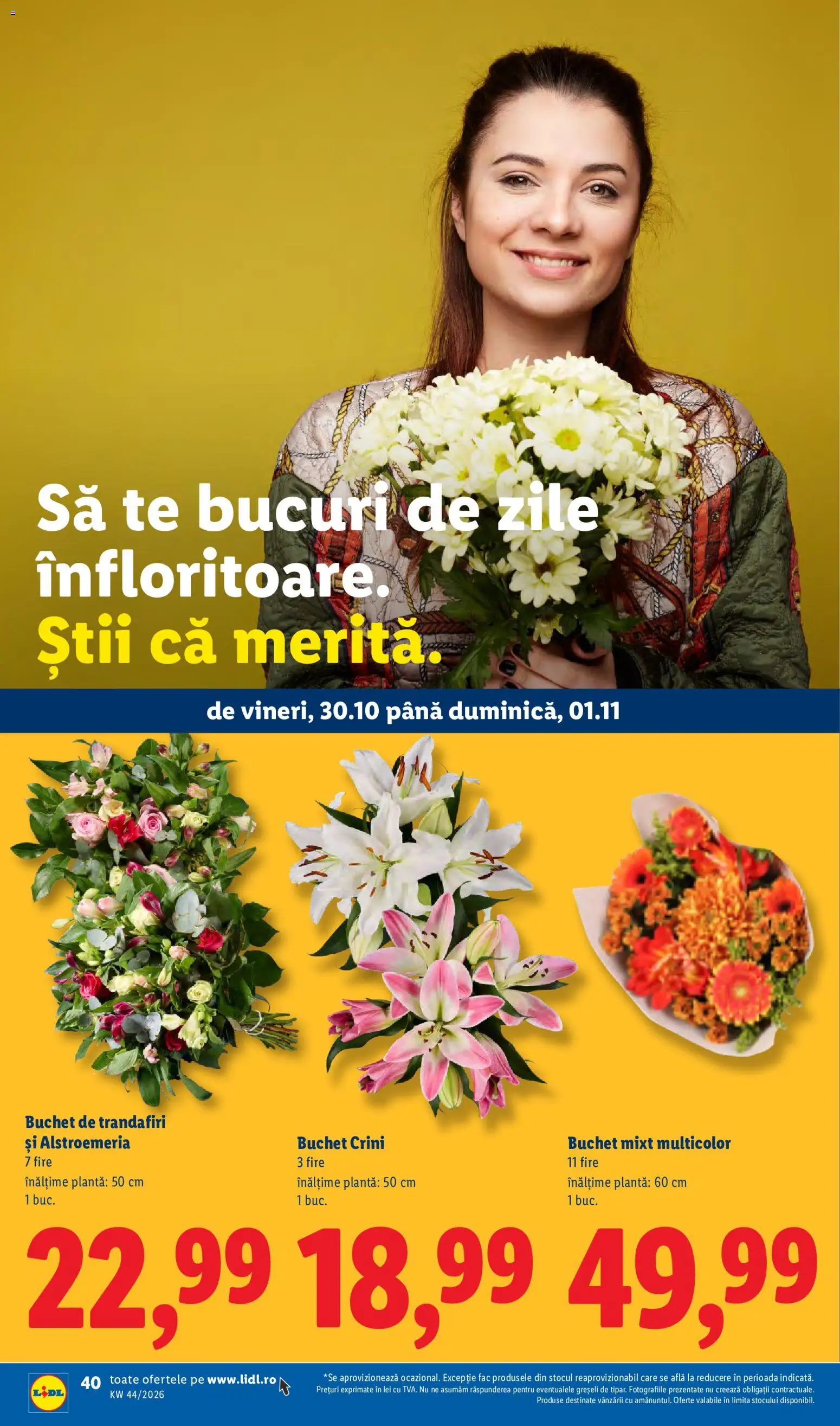 Lidl Catalog Catalog in România