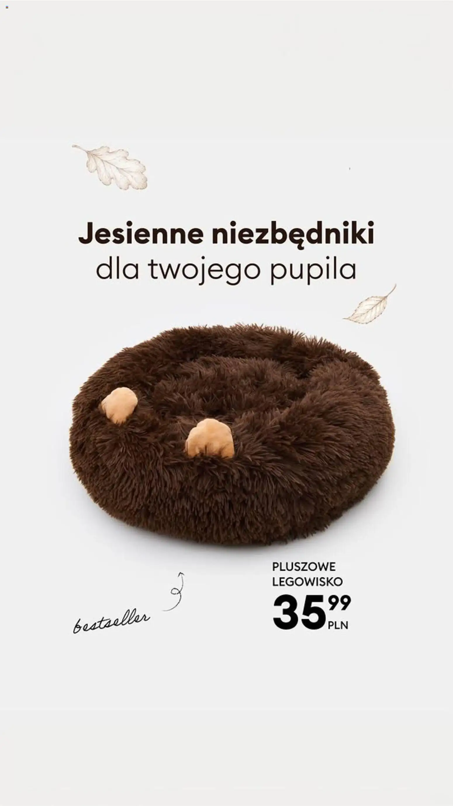 Sinsay gazetka Gazetka in Polska