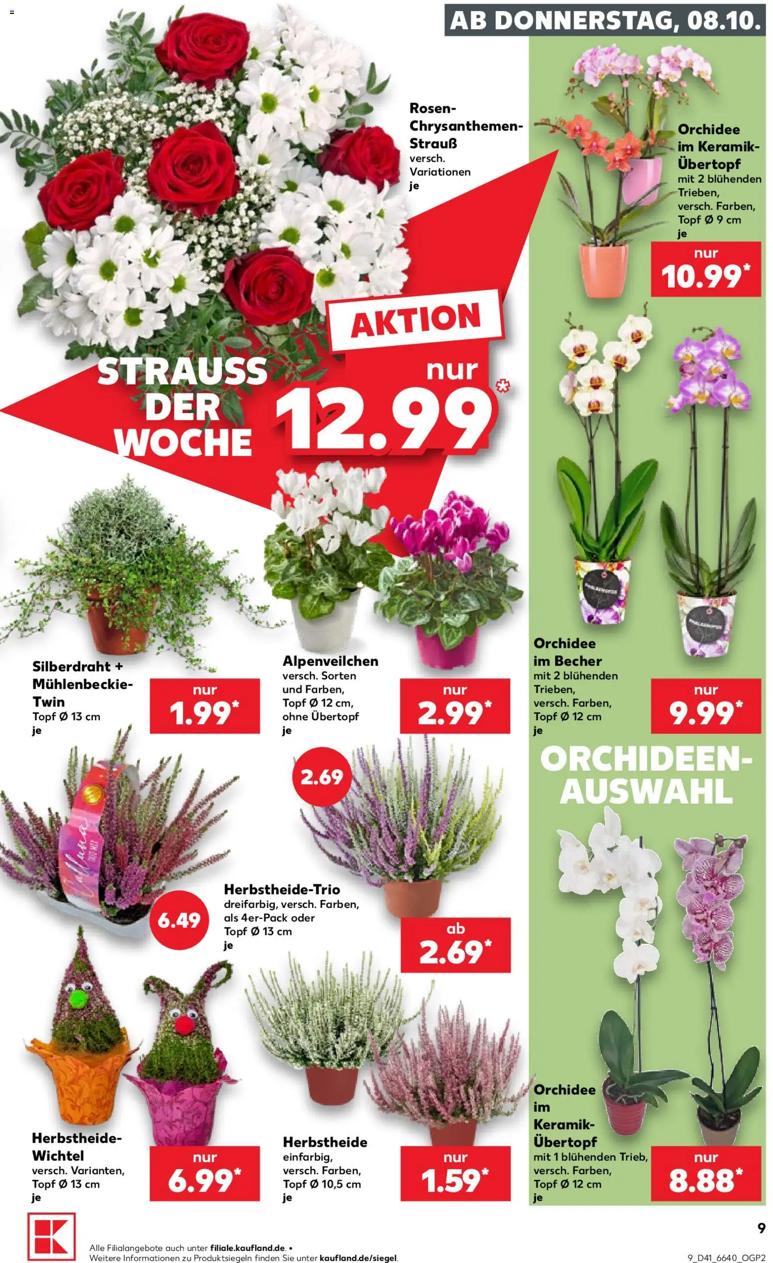 Kaufland Prospekt Prospekt in Deutschland