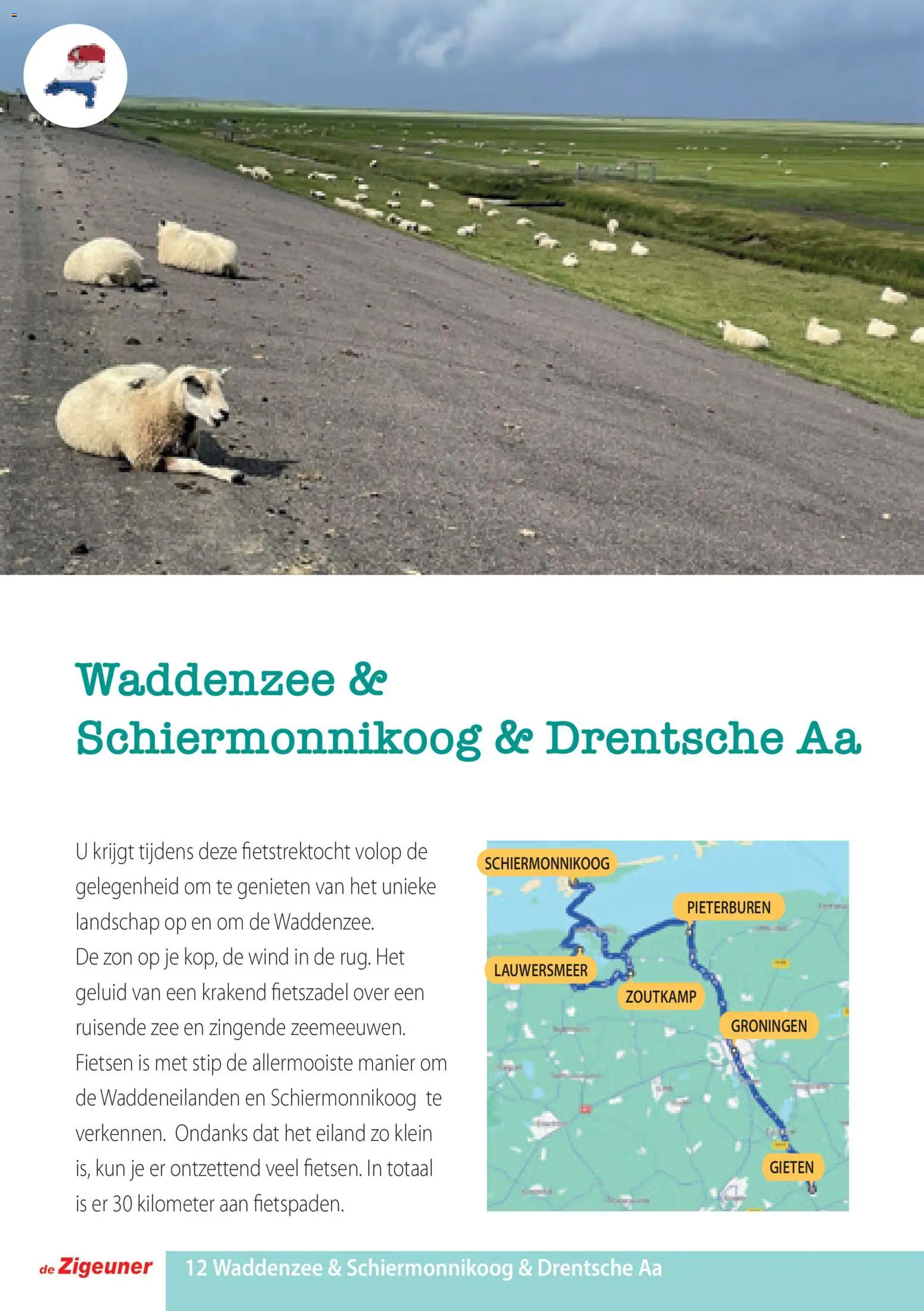 Nieuwe » De Zigeuner folder van 17/11/2025 🤩  « is er! Ontdek geweldige aanbiedingen en bespaar. | België