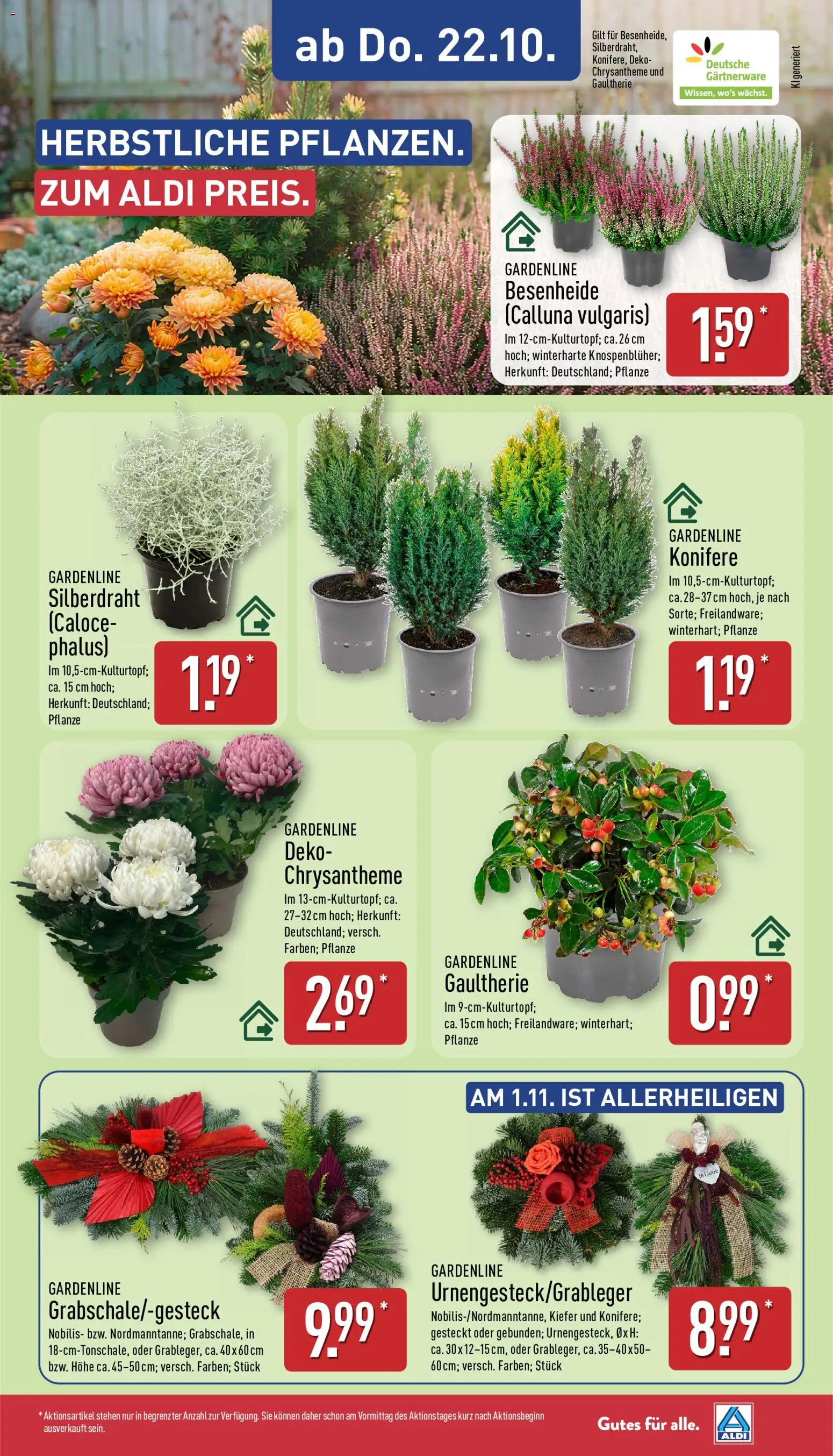 Aldi Prospekt Prospekt in Deutschland
