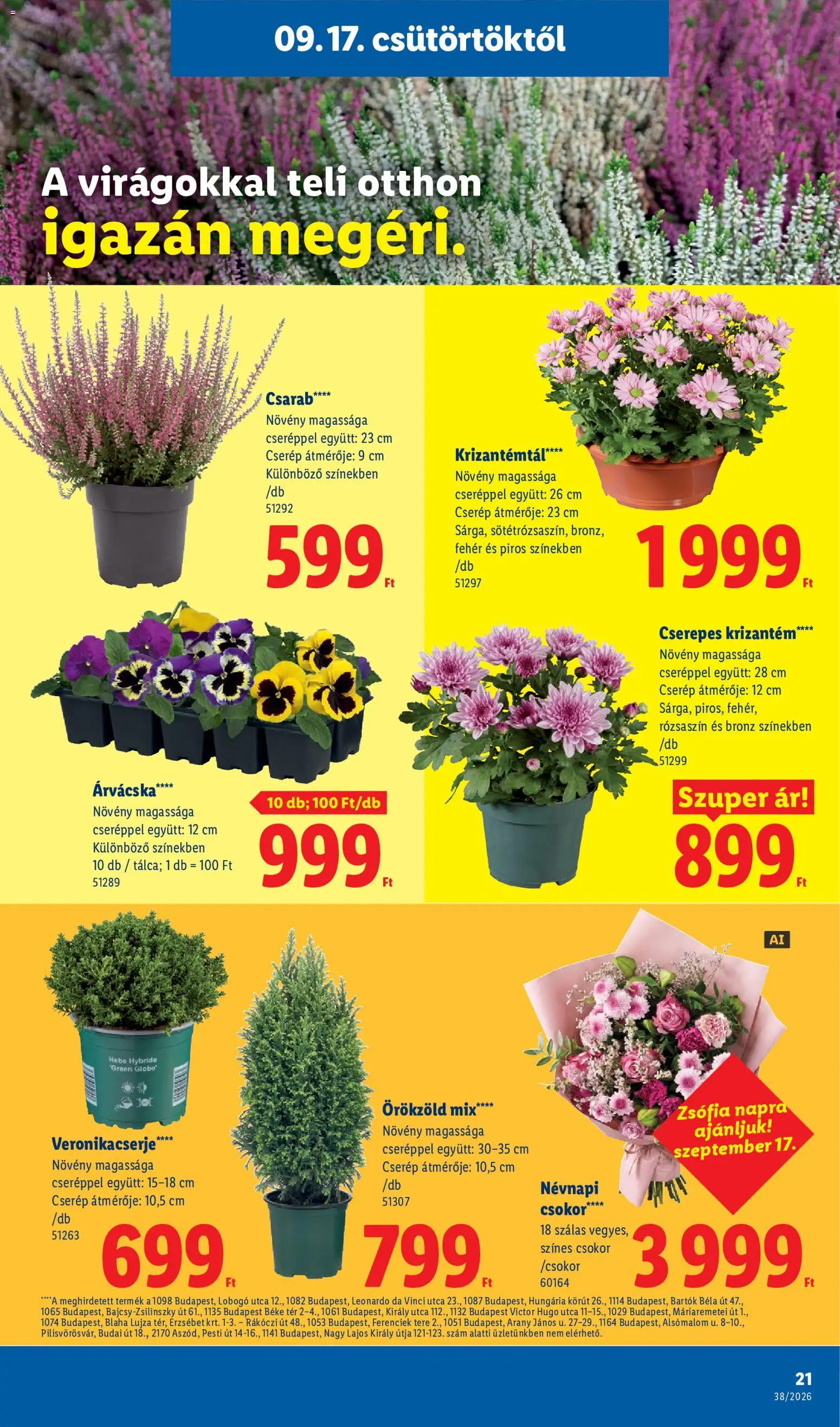 Lidl akciós újság Akciós újság in Magyarország