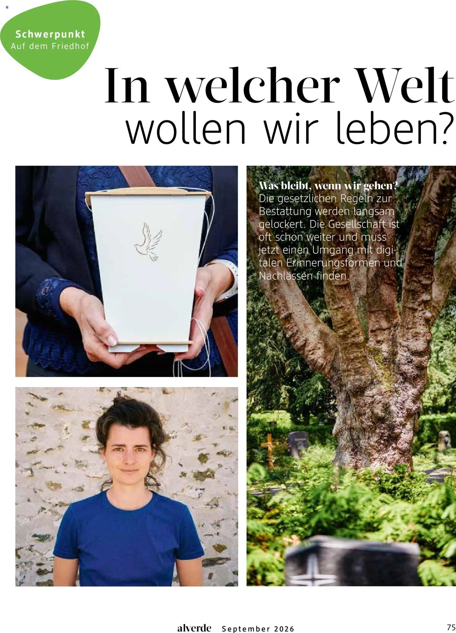 dm drogerie Prospekt Prospekt in Deutschland