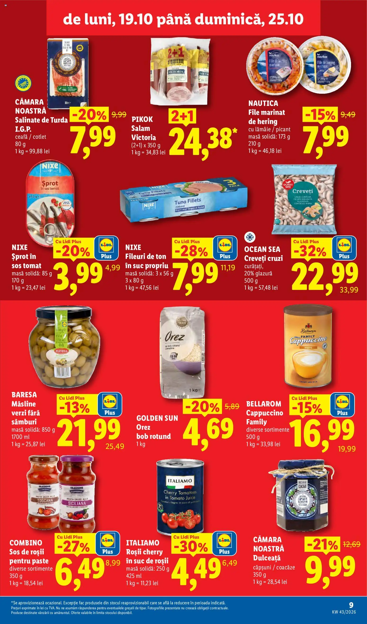 Lidl Catalog Catalog in România