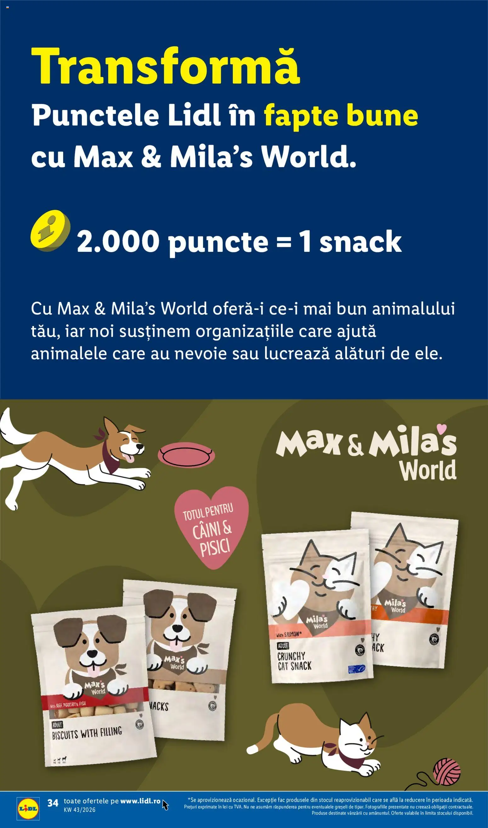 Lidl Catalog Catalog in România