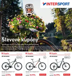 Intersport Intersport leták