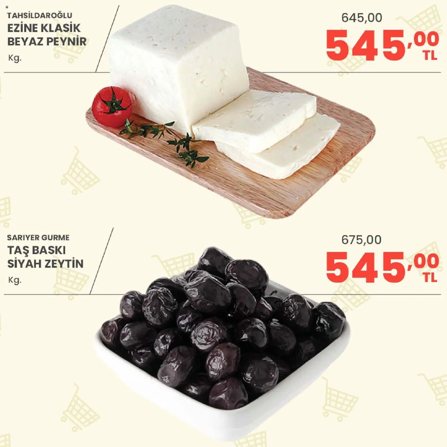 Sarıyer Katalog Katalog in Türkiye