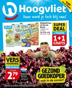 Hoogvliet Hoogvliet folder