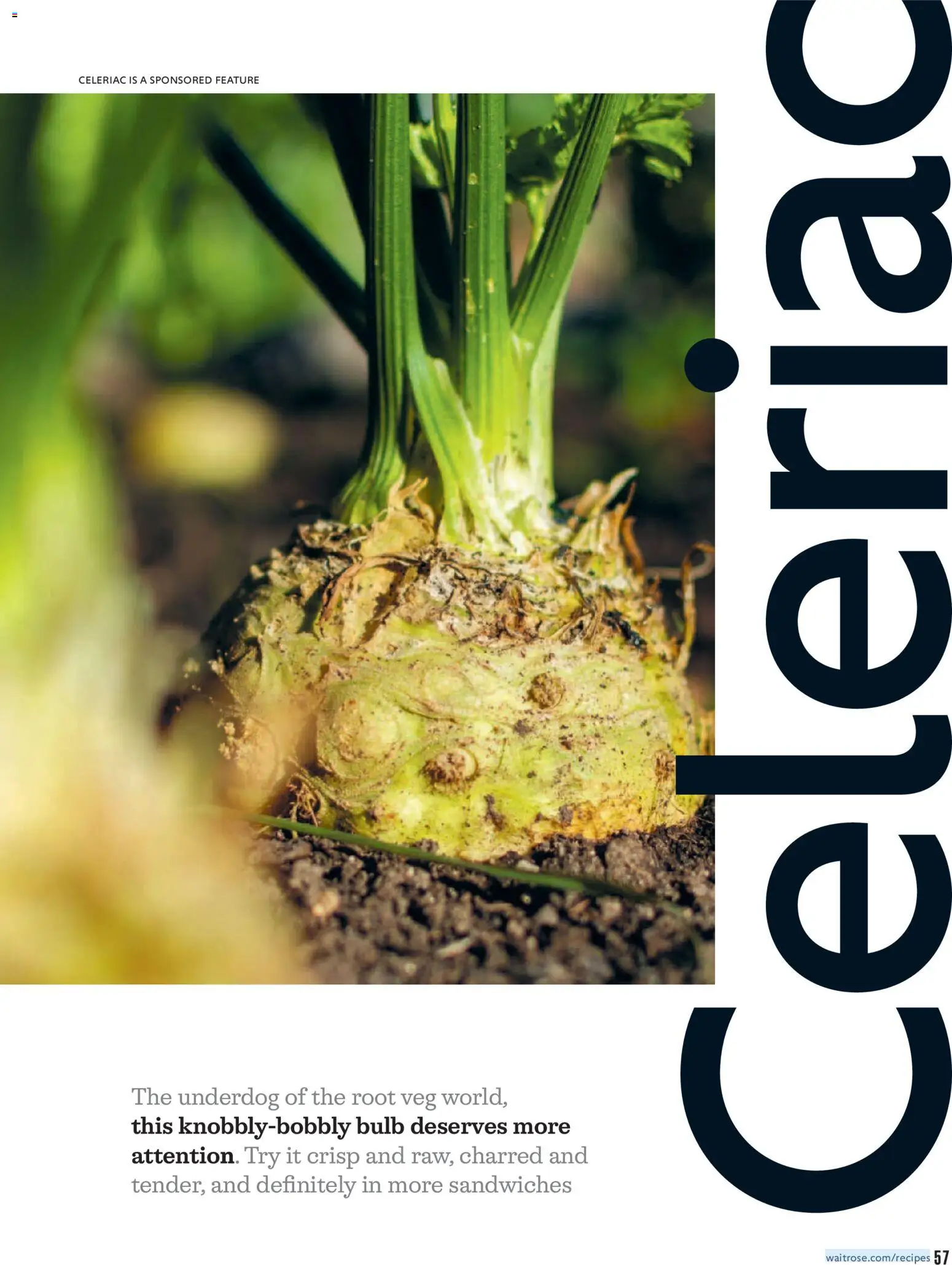 Waitrose - October 2026 Leaflet in United Kingdom