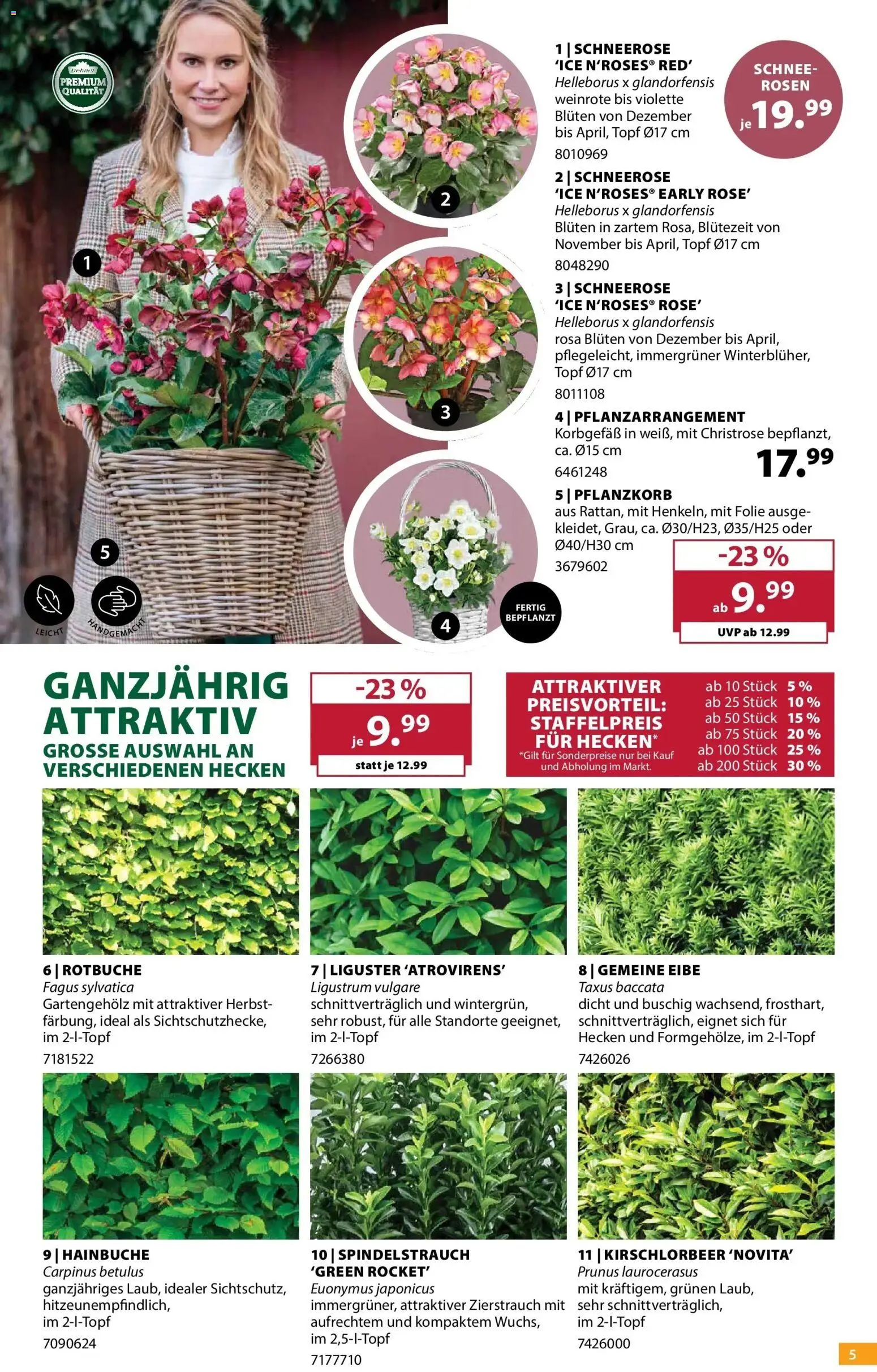 Dehner Prospekt Prospekt in Deutschland