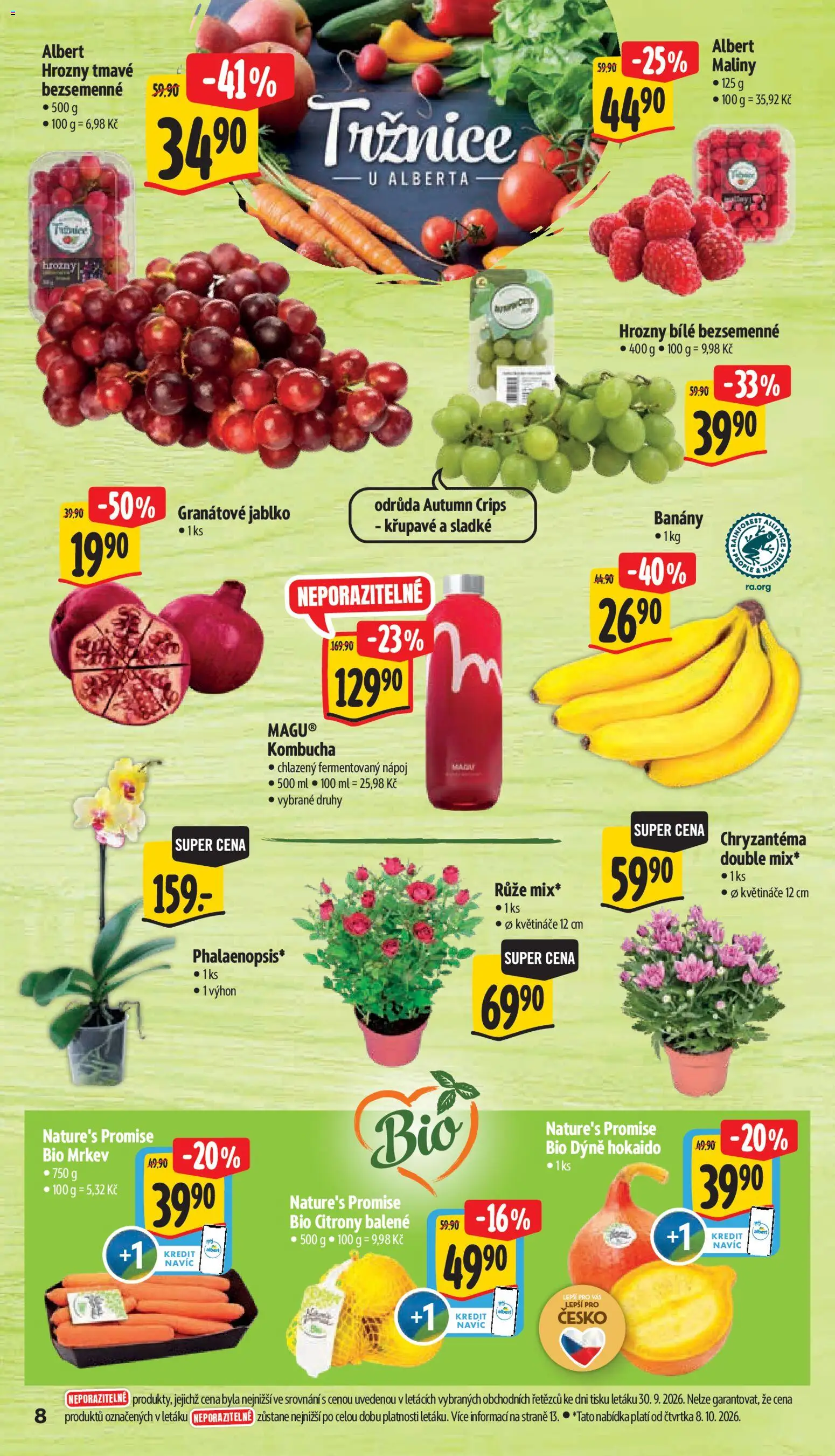 Albert leták - Hypermarket Leták in Česko