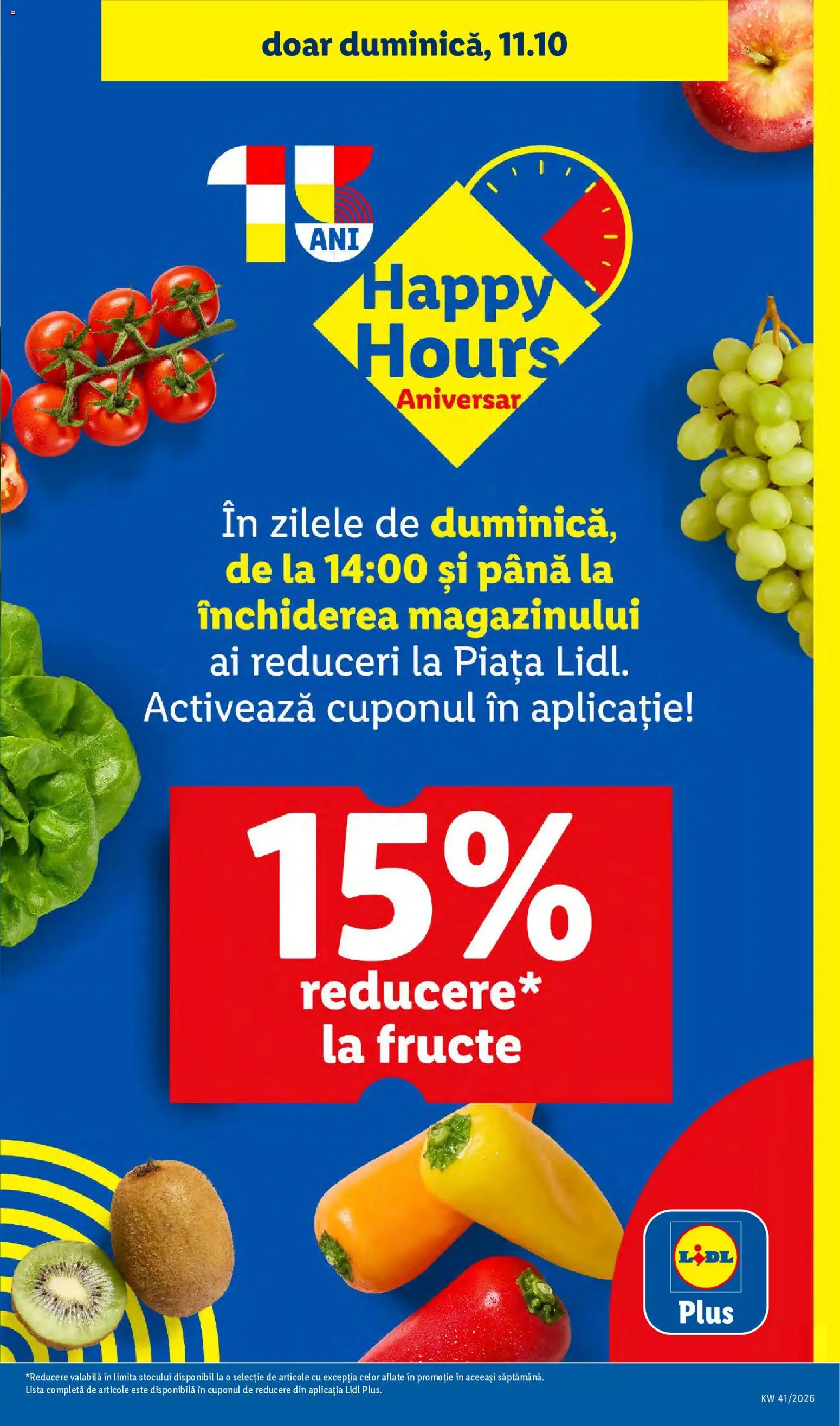 Lidl Catalog Catalog in România