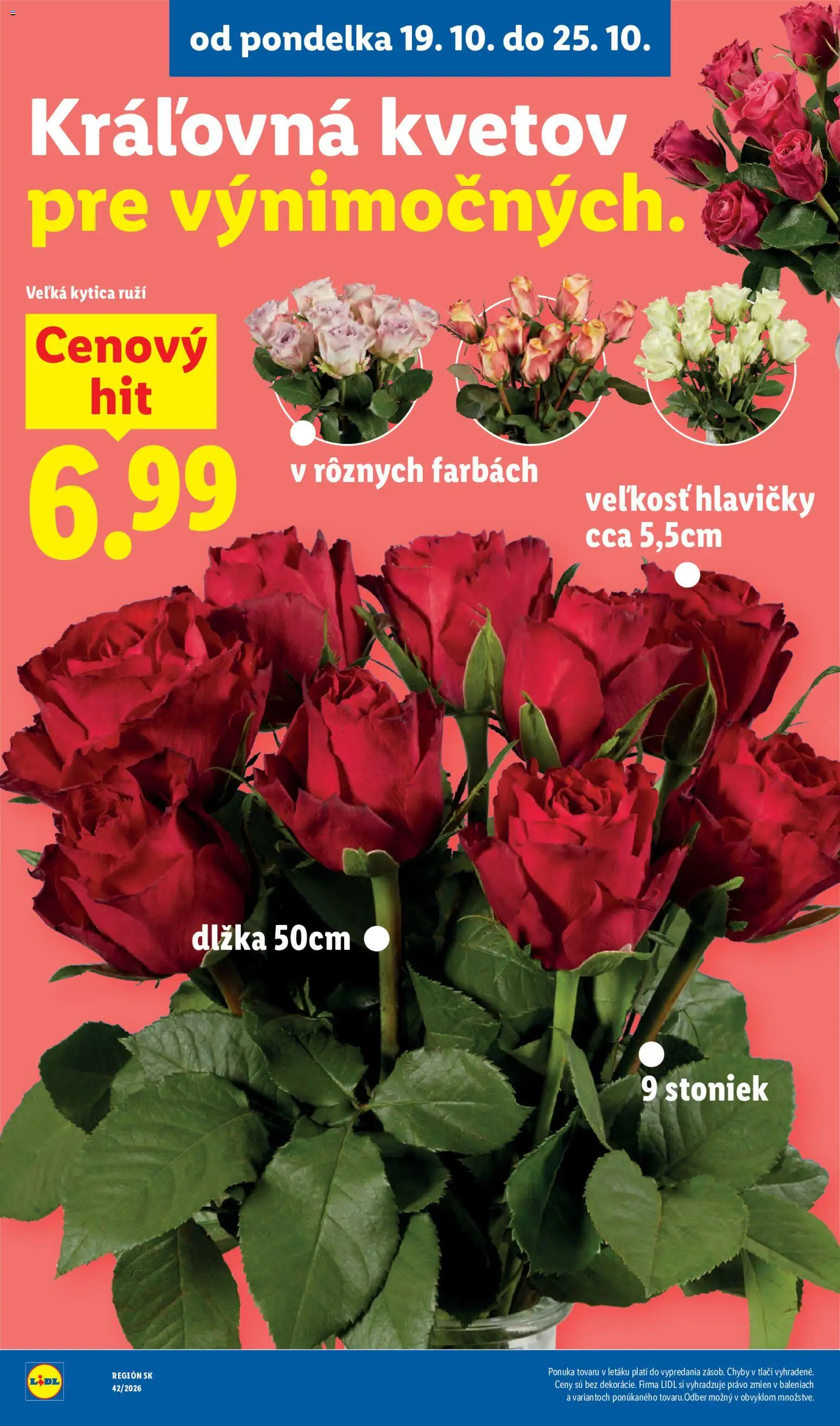 Lidl leták Leták in Slovensko