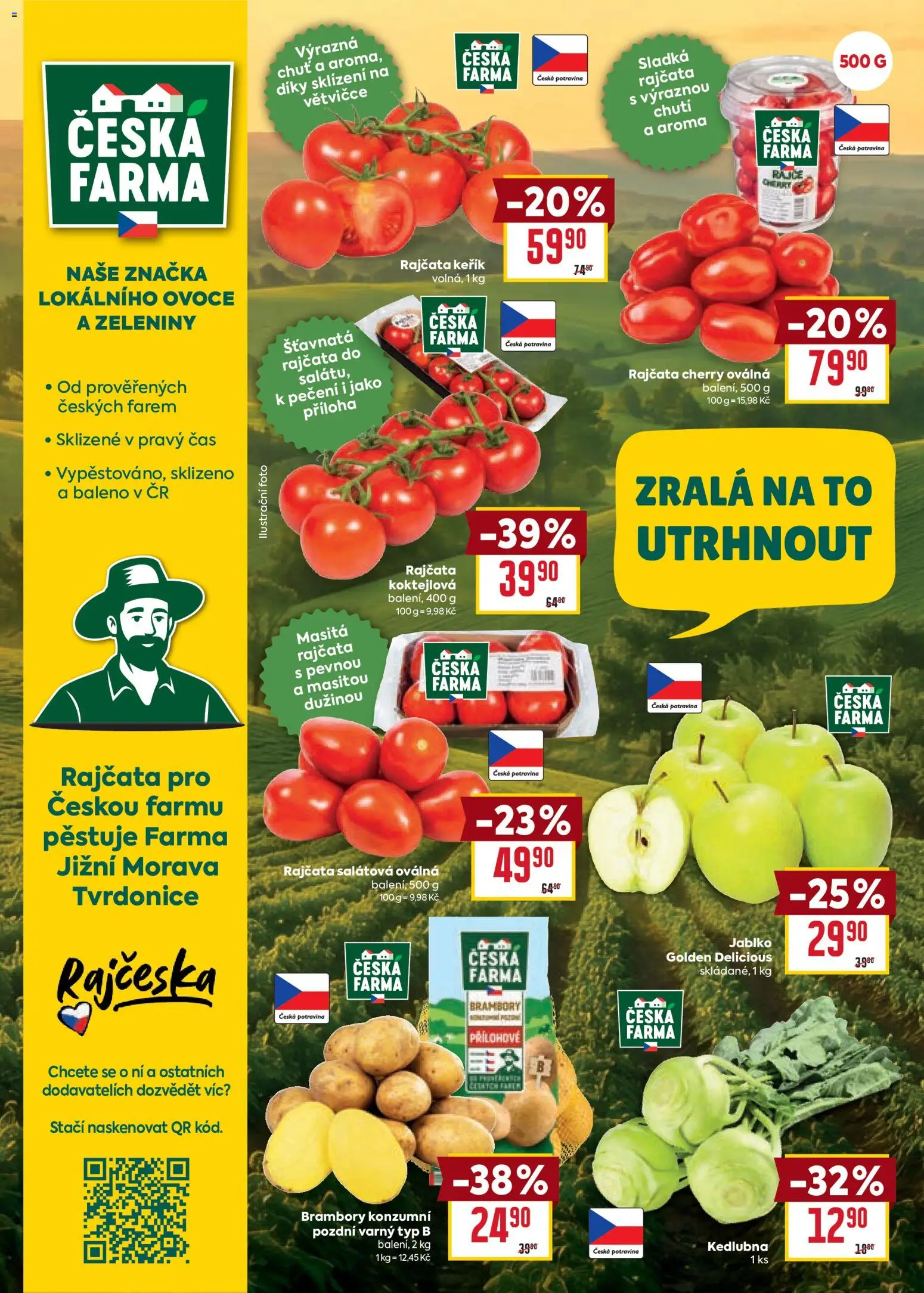 Billa Velký leták Leták in Česko