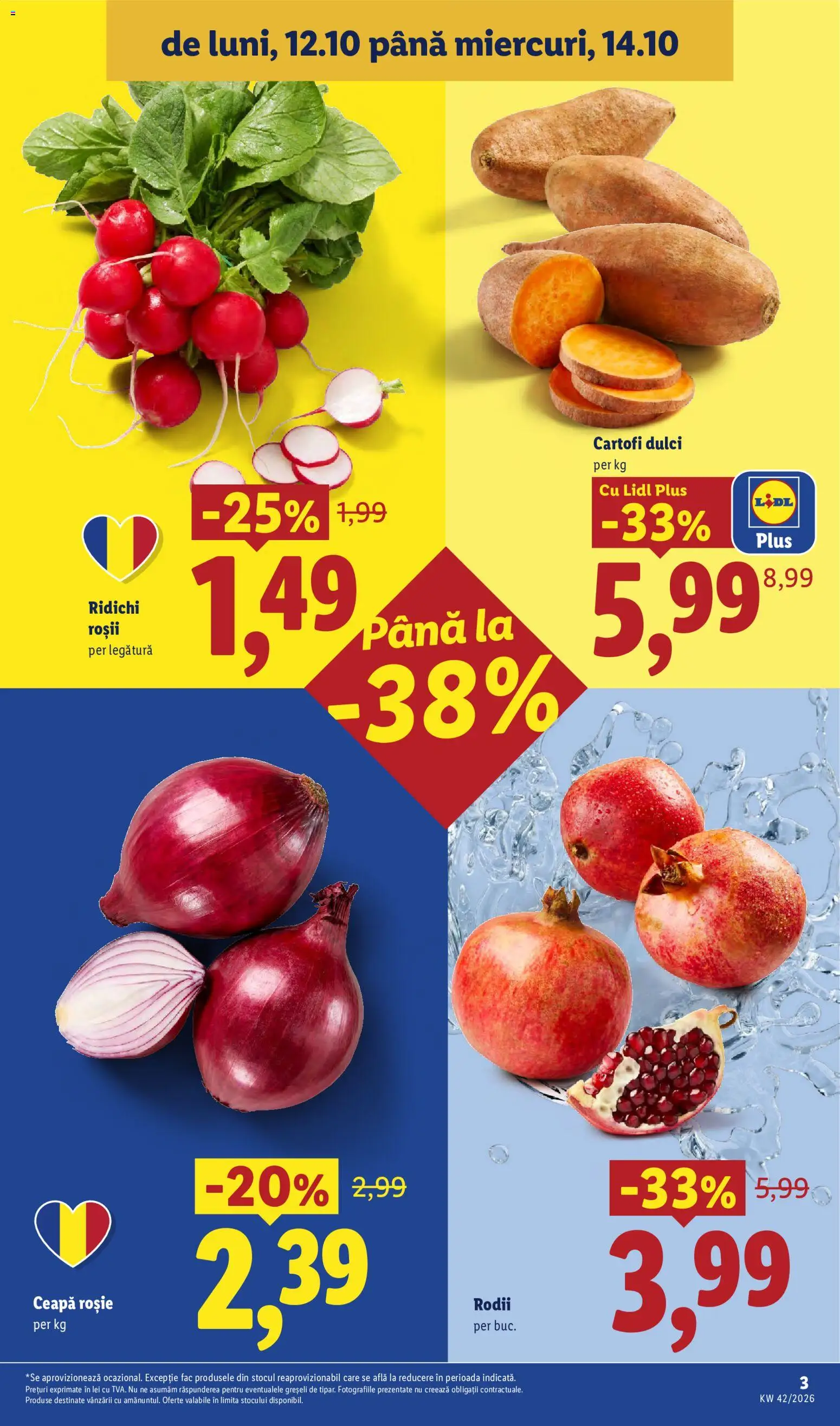 Lidl Catalog Catalog in România