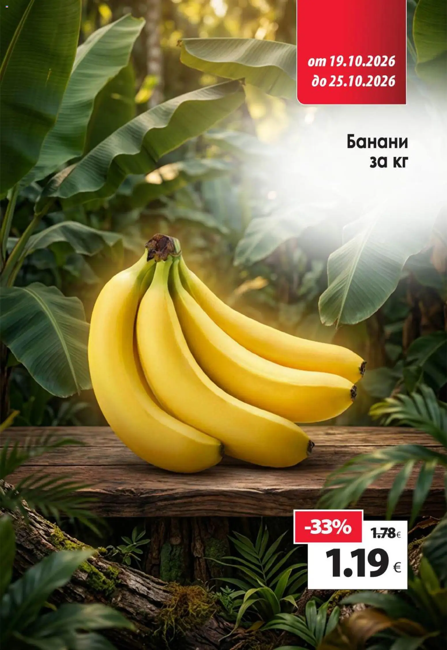 KAM market брошура Брошура in България