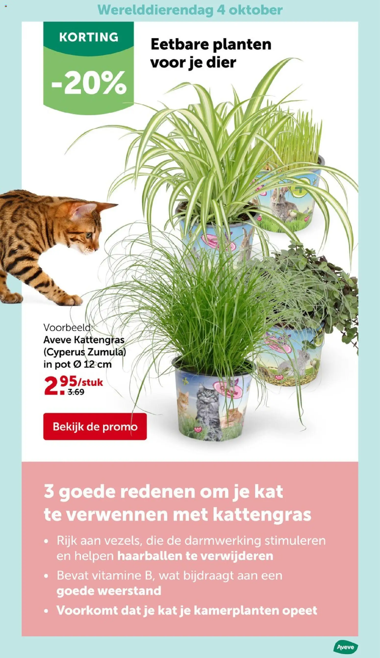 Aveve folder Folder in België