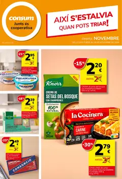 Consum Consum - folleto