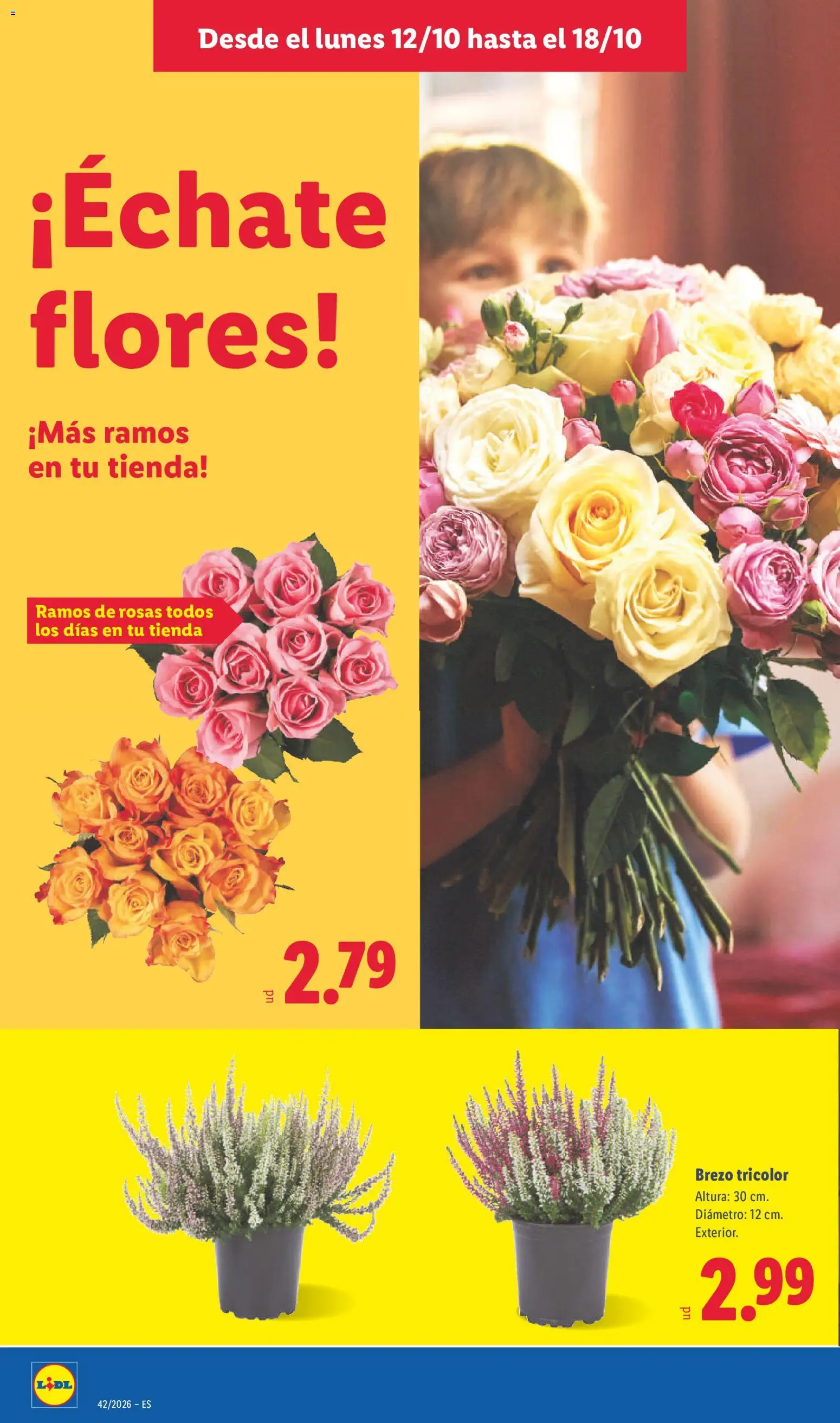 Lidl folleto Folleto in España