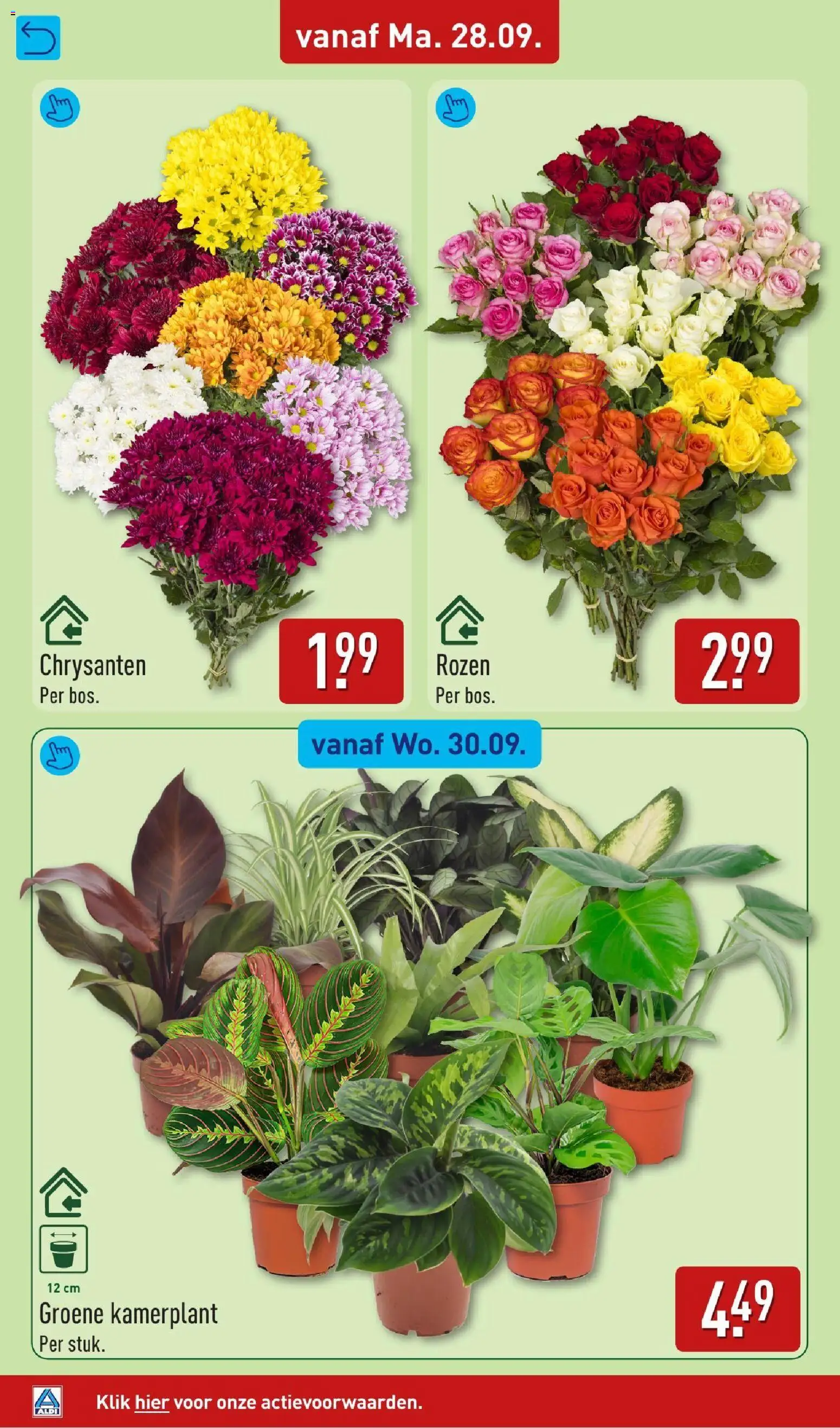 Aldi - Folder van deze week Folder in Nederland