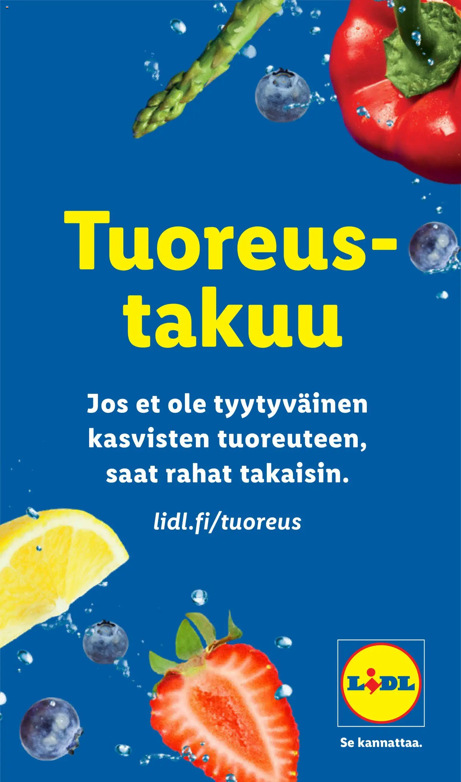 🛍️ Lidl tarjoukset alkaen 09/07/2026 » Katso huipputarjoukset ja säästä jo tänään! 💰 | Suomi