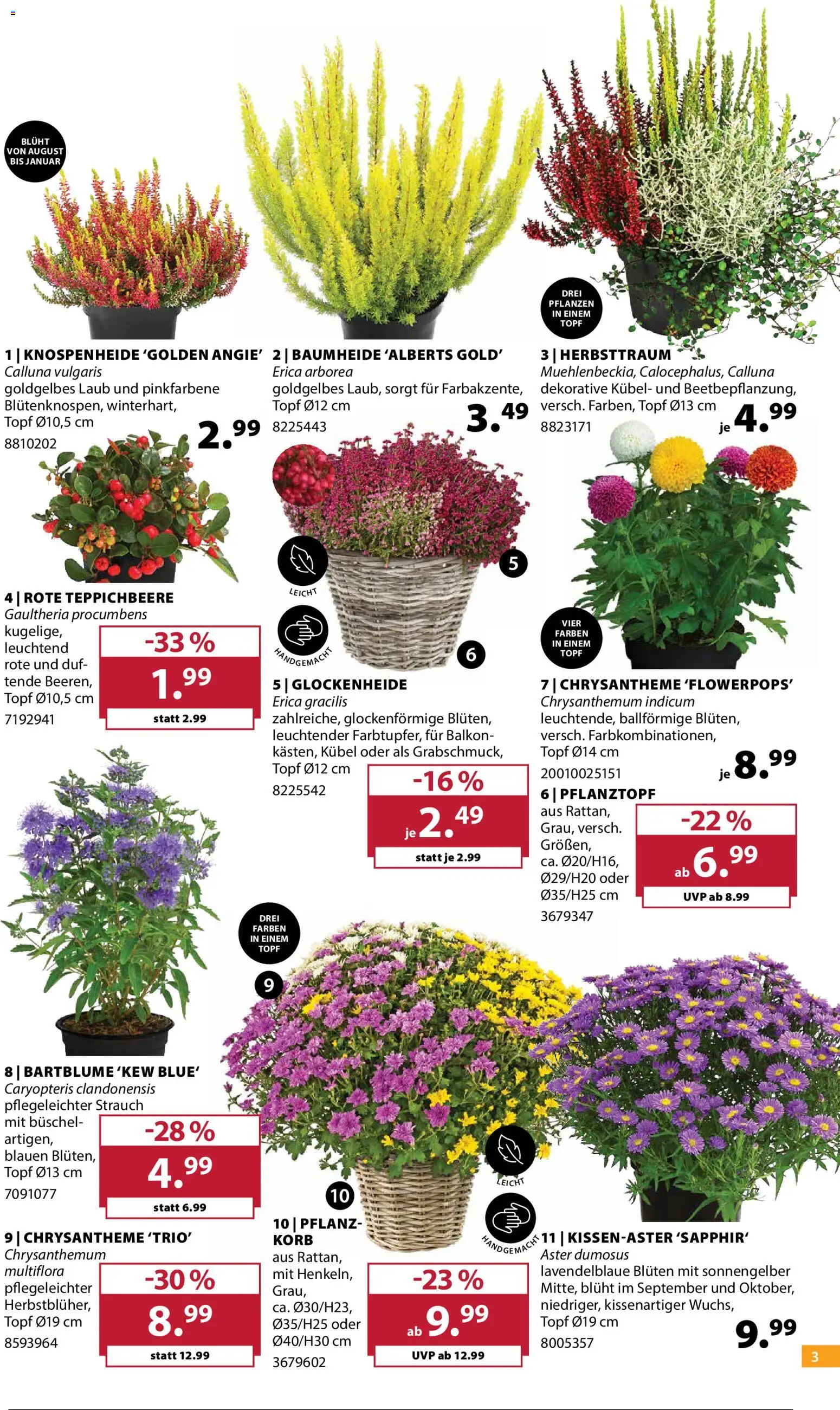Dehner Prospekt Prospekt in Deutschland