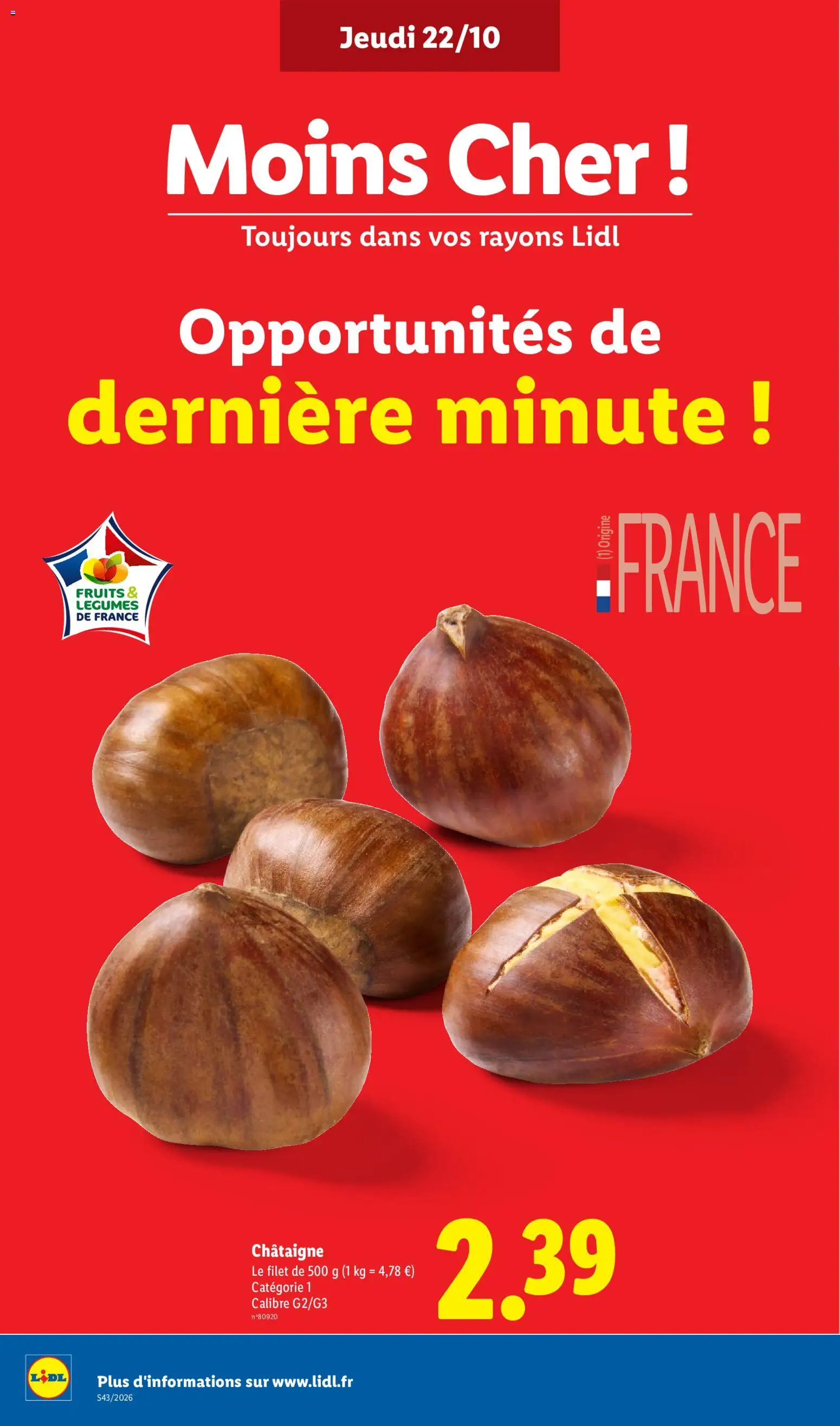 LIDL catalogue Catalogue in France