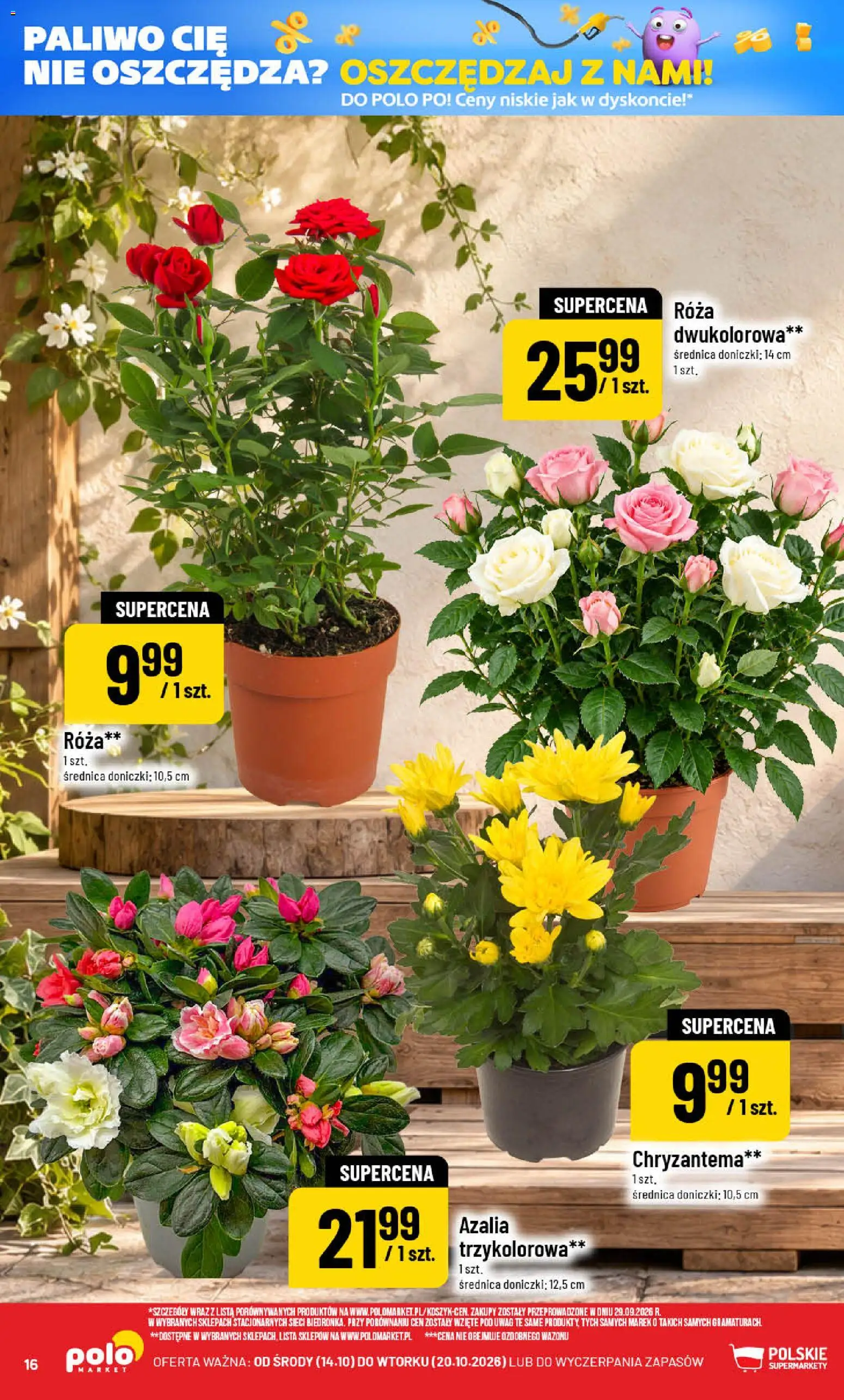 POLOmarket gazetka Gazetka in Polska