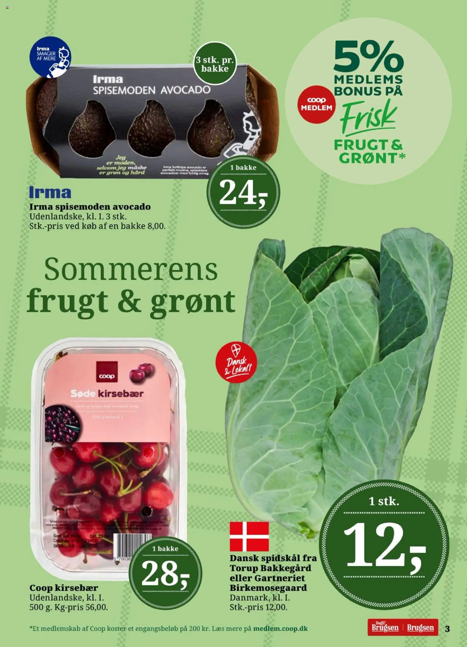 🛍️ Dagli'Brugsen - Tilbudsavis uge 27-28 fra 03/07/2026 » Se eksklusive tilbud og spar penge i dag! 💰 | Danmark