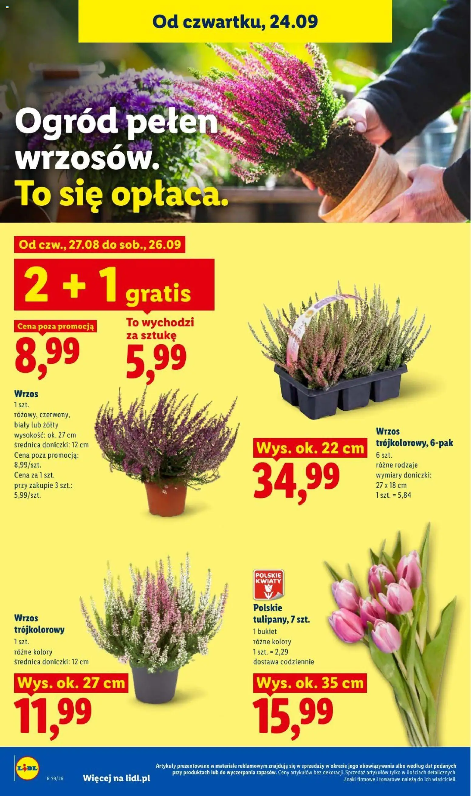 Lidl gazetka Gazetka in Polska