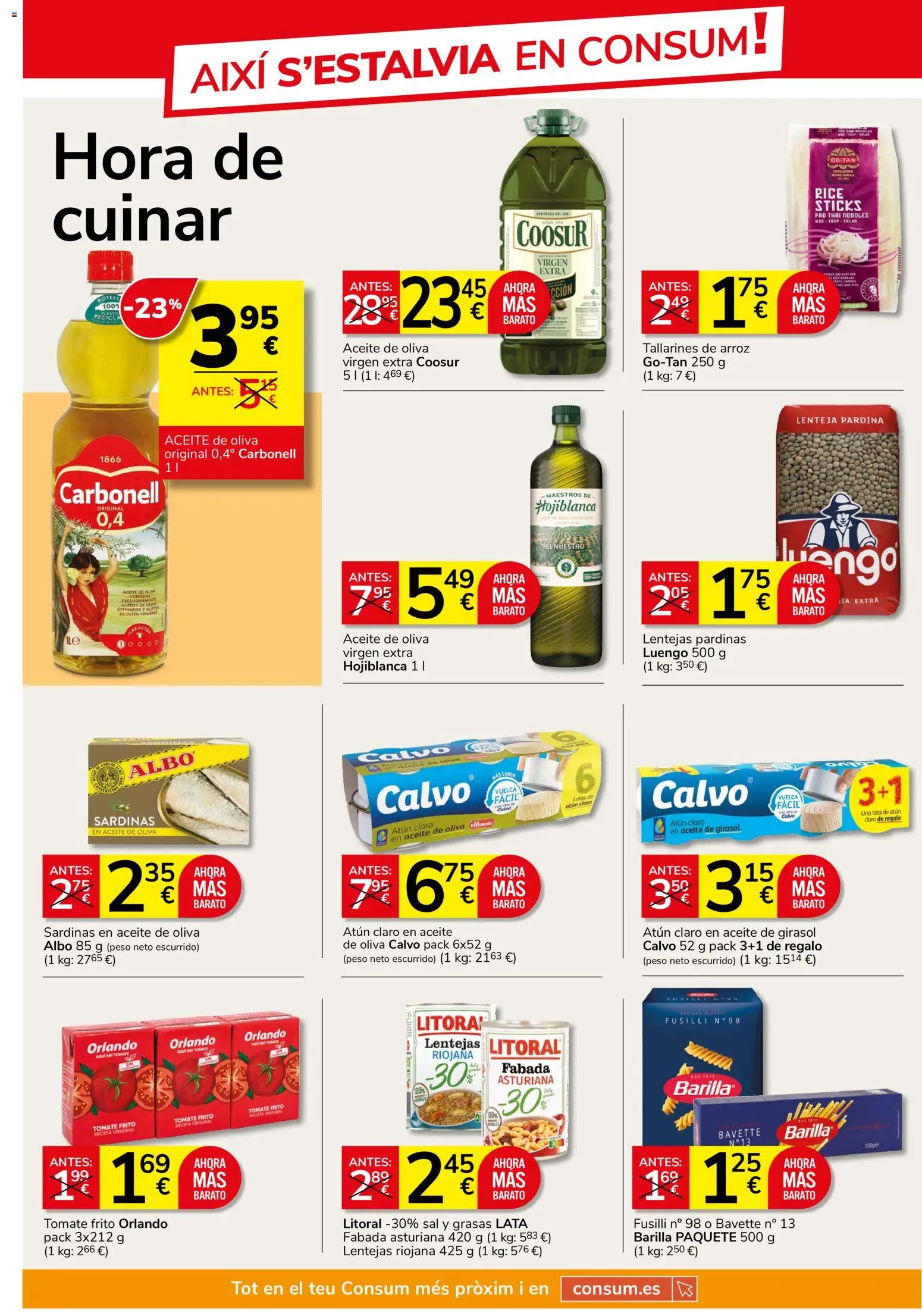 Consum - folleto Folleto in España