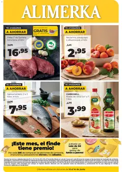 Alimerka Alimerka folleto Asturias