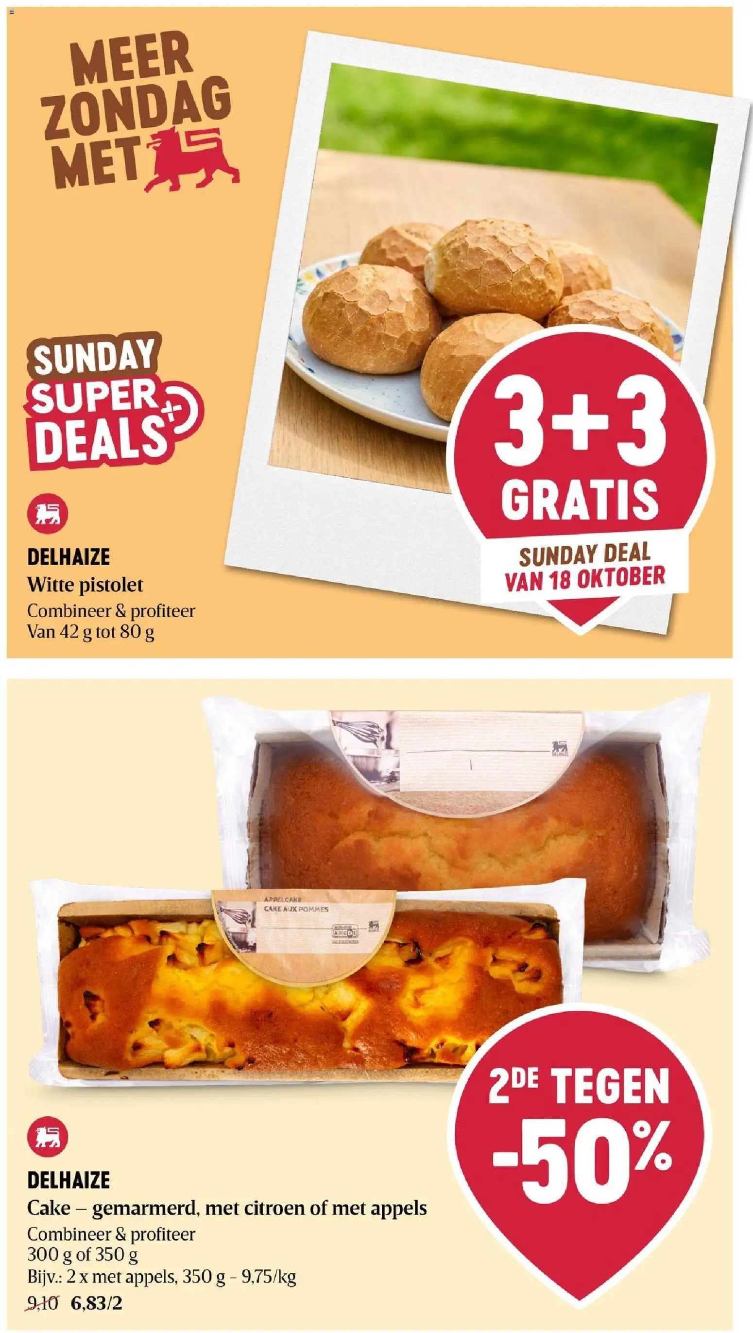 Delhaize folder Folder in België