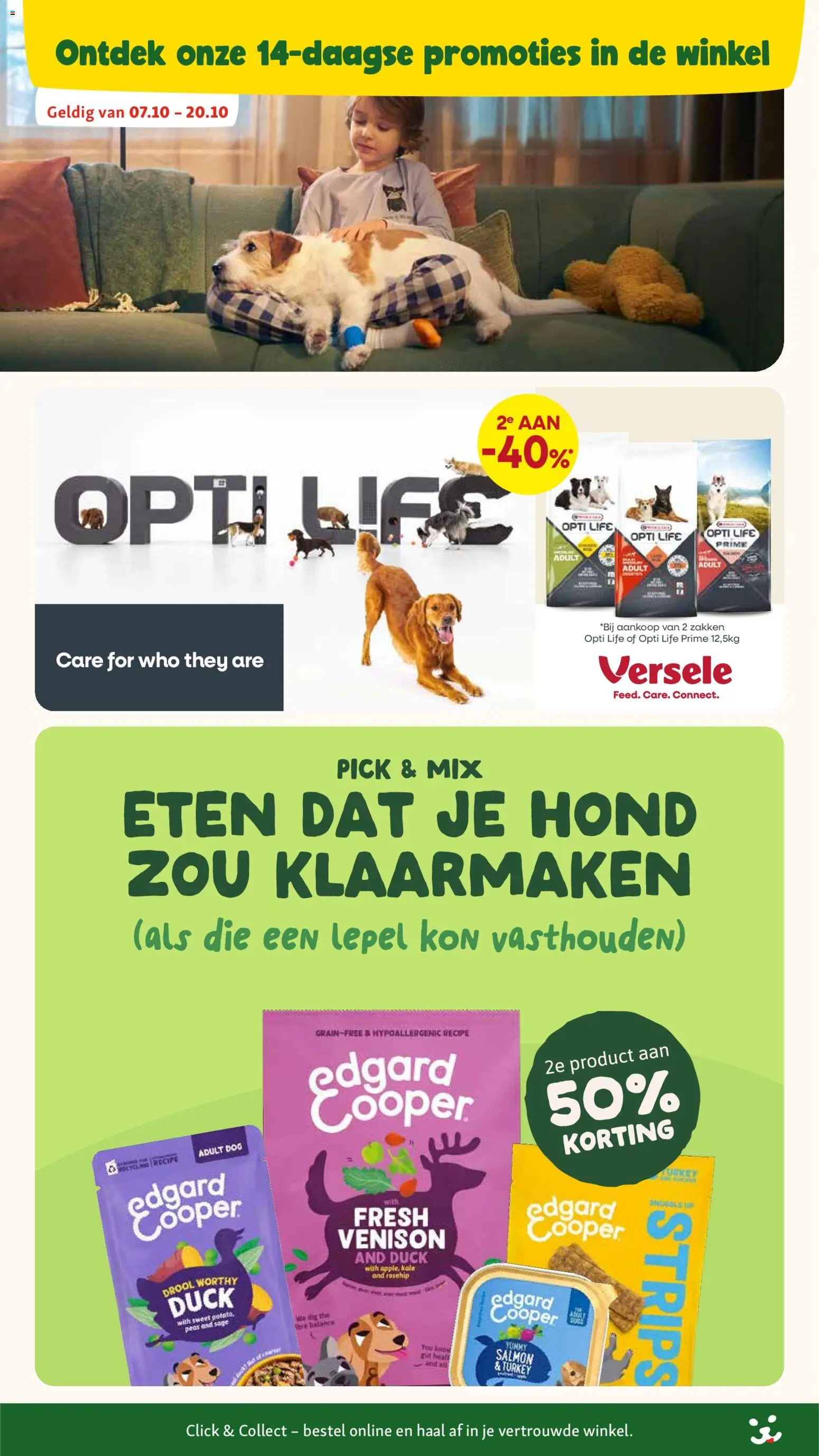 Maxi Zoo folder Folder in België