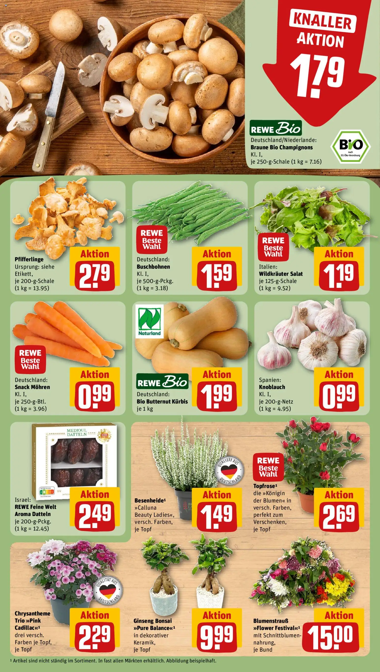 Rewe Prospekt Prospekt in Deutschland