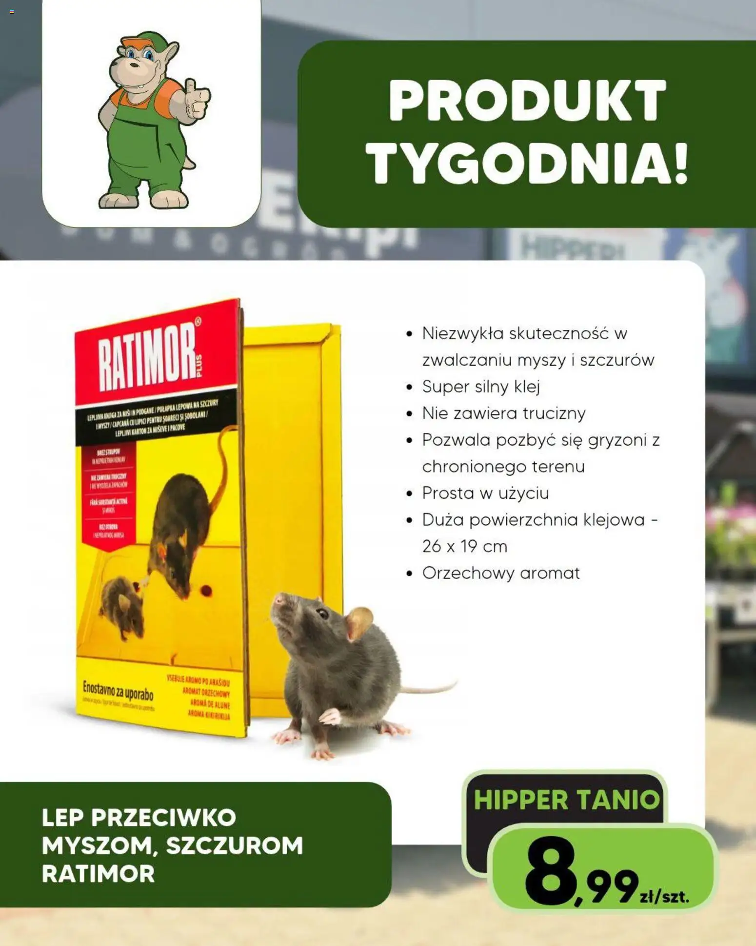 Hipper gazetka Gazetka in Polska