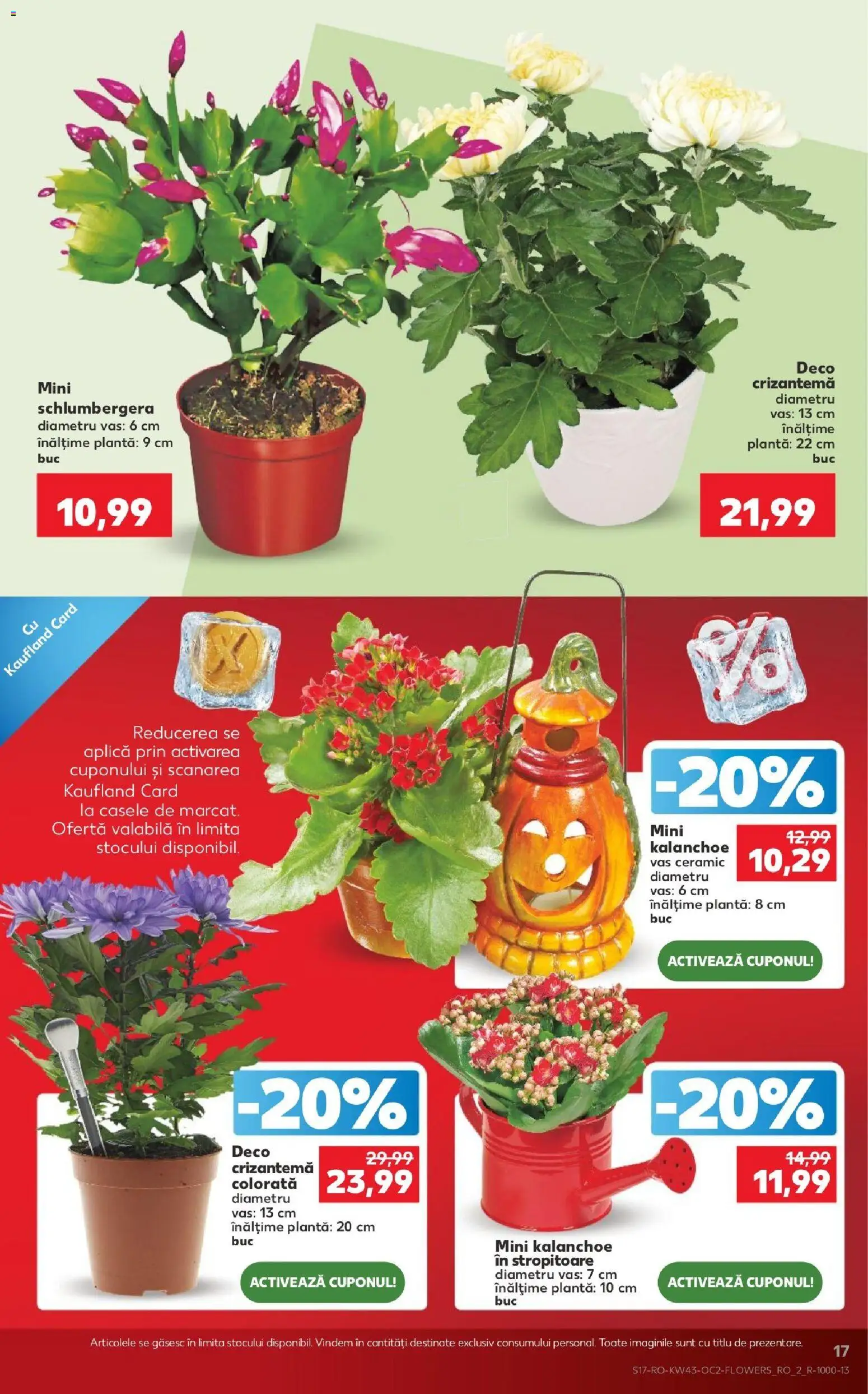 Kaufland RO akciós újság Akciós újság in Magyarország