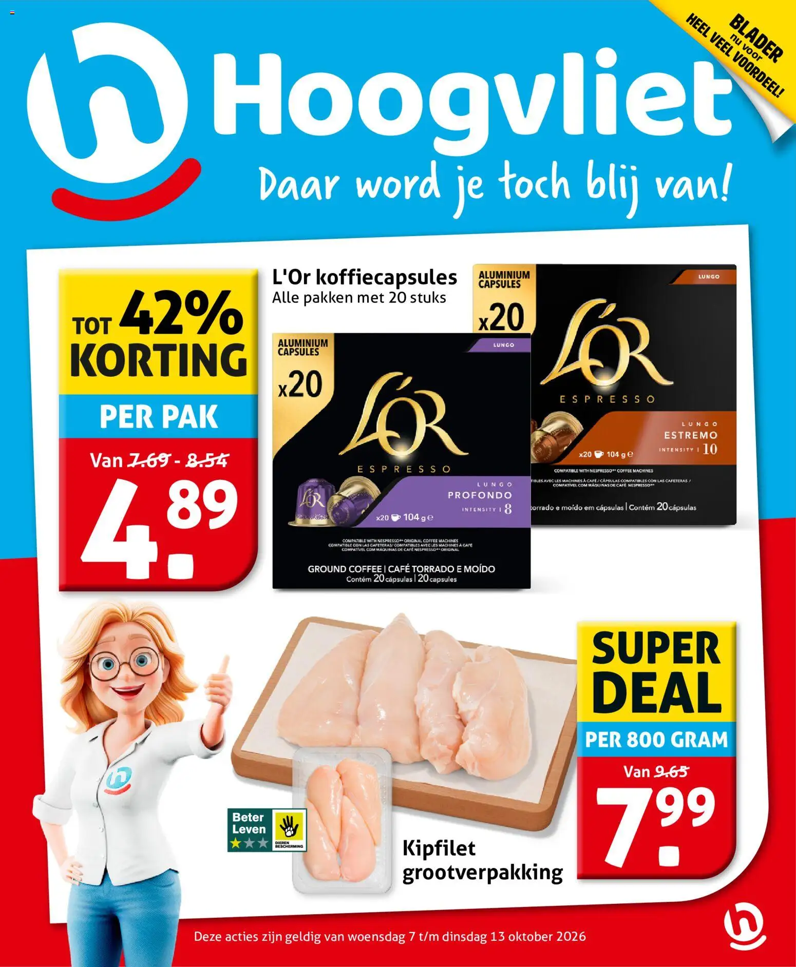 Hoogvliet folder Folder in Nederland