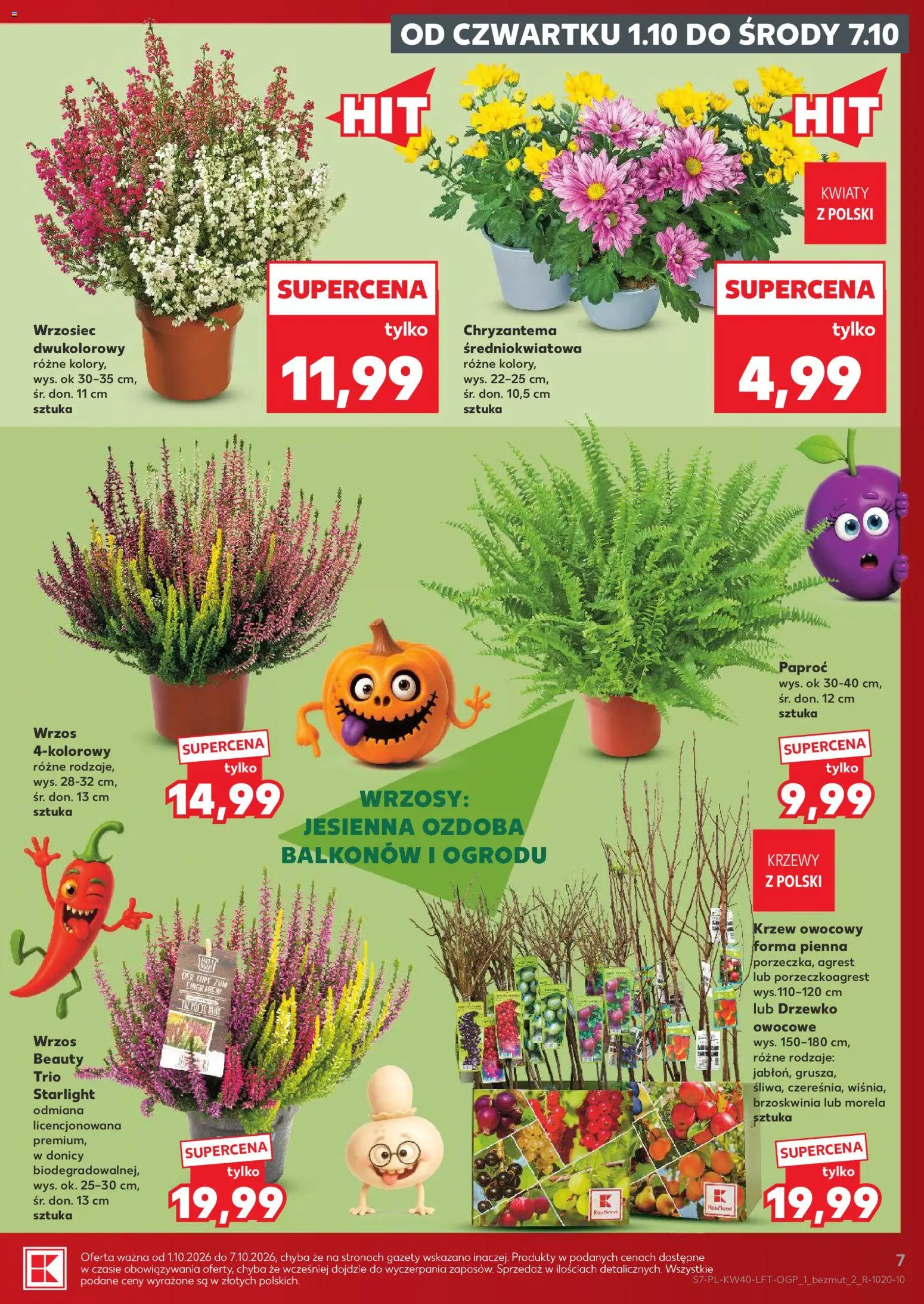 Kaufland Polsko leták Leták in Česko