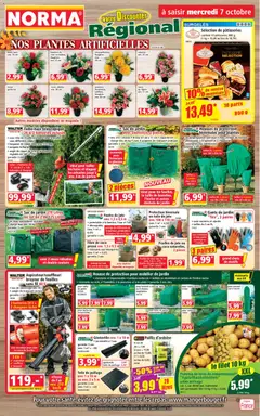 Norma Norma catalogue