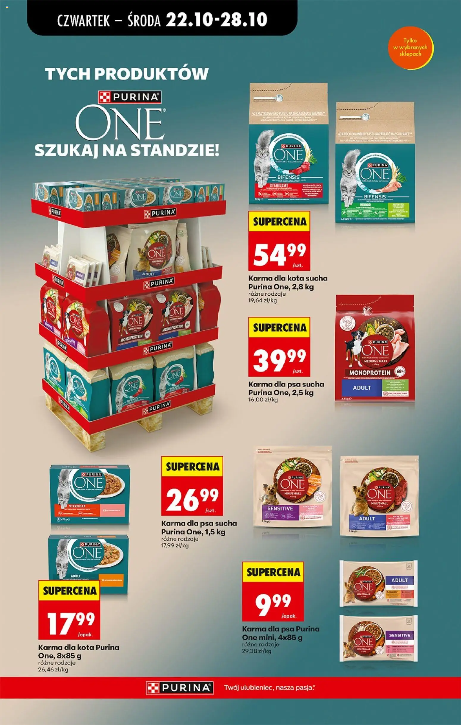 Biedronka gazetka od poniedziałku Gazetka in Polska