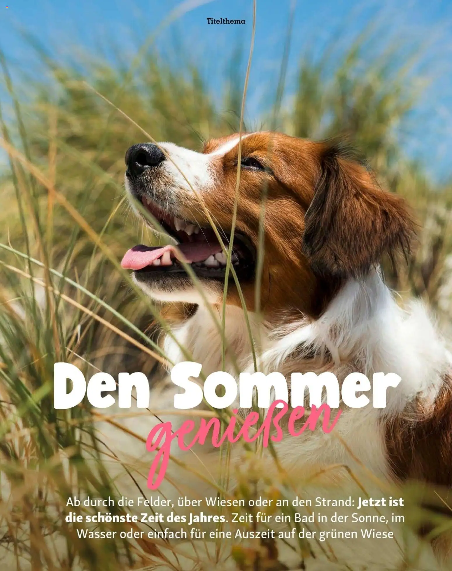 Die besten Angebote | Fressnapf Friends 07,08/26 ab 01.07.2026 | - Jetzt stöbern! | Österreich