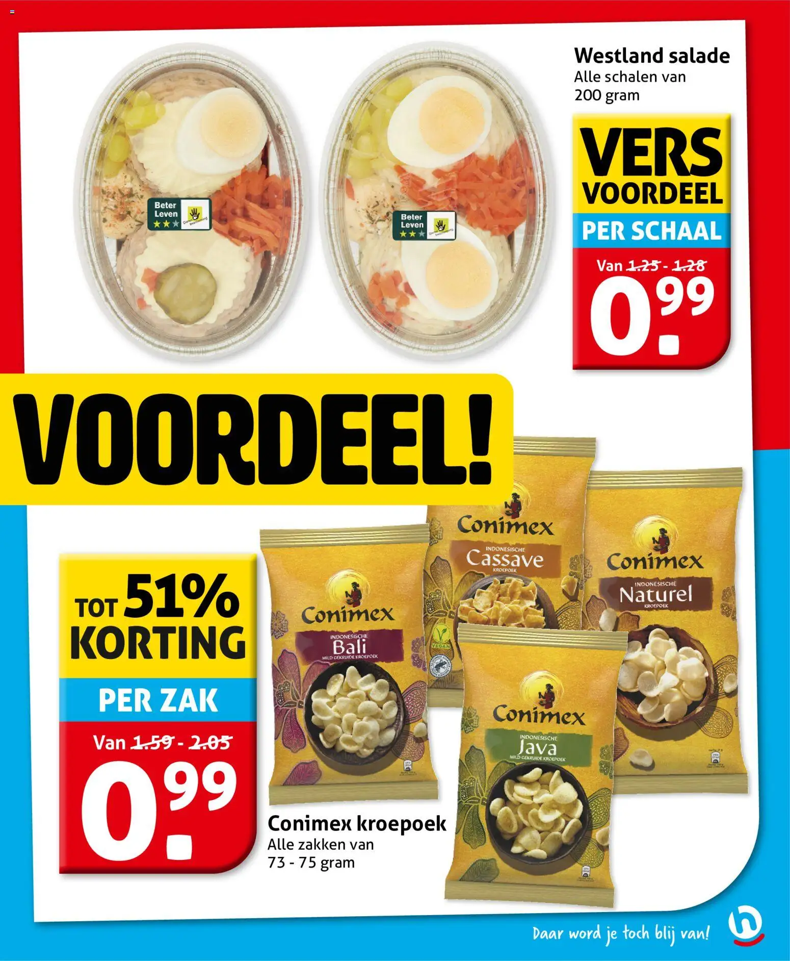 Hoogvliet folder Folder in Nederland