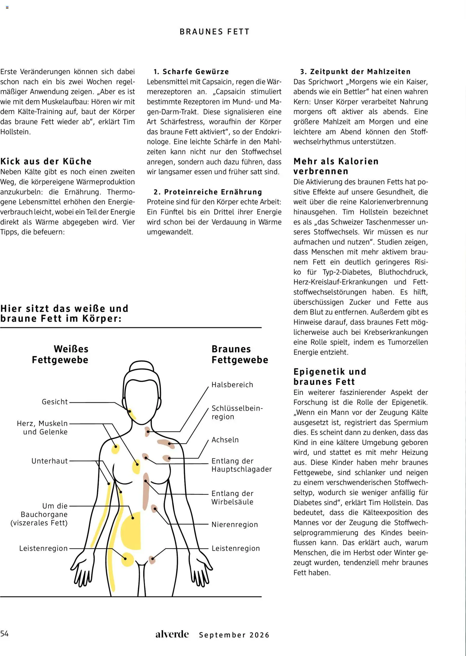 dm drogerie Prospekt Prospekt in Deutschland