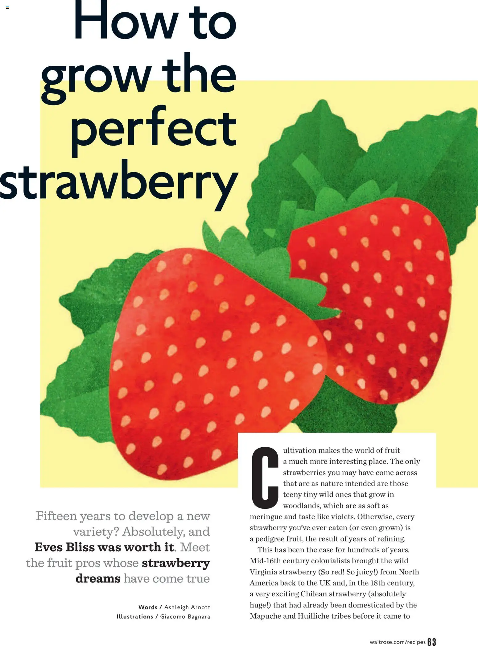 Do you know WHAT OFFERS await you at Waitrose? View the July flyer online! | United Kingdom